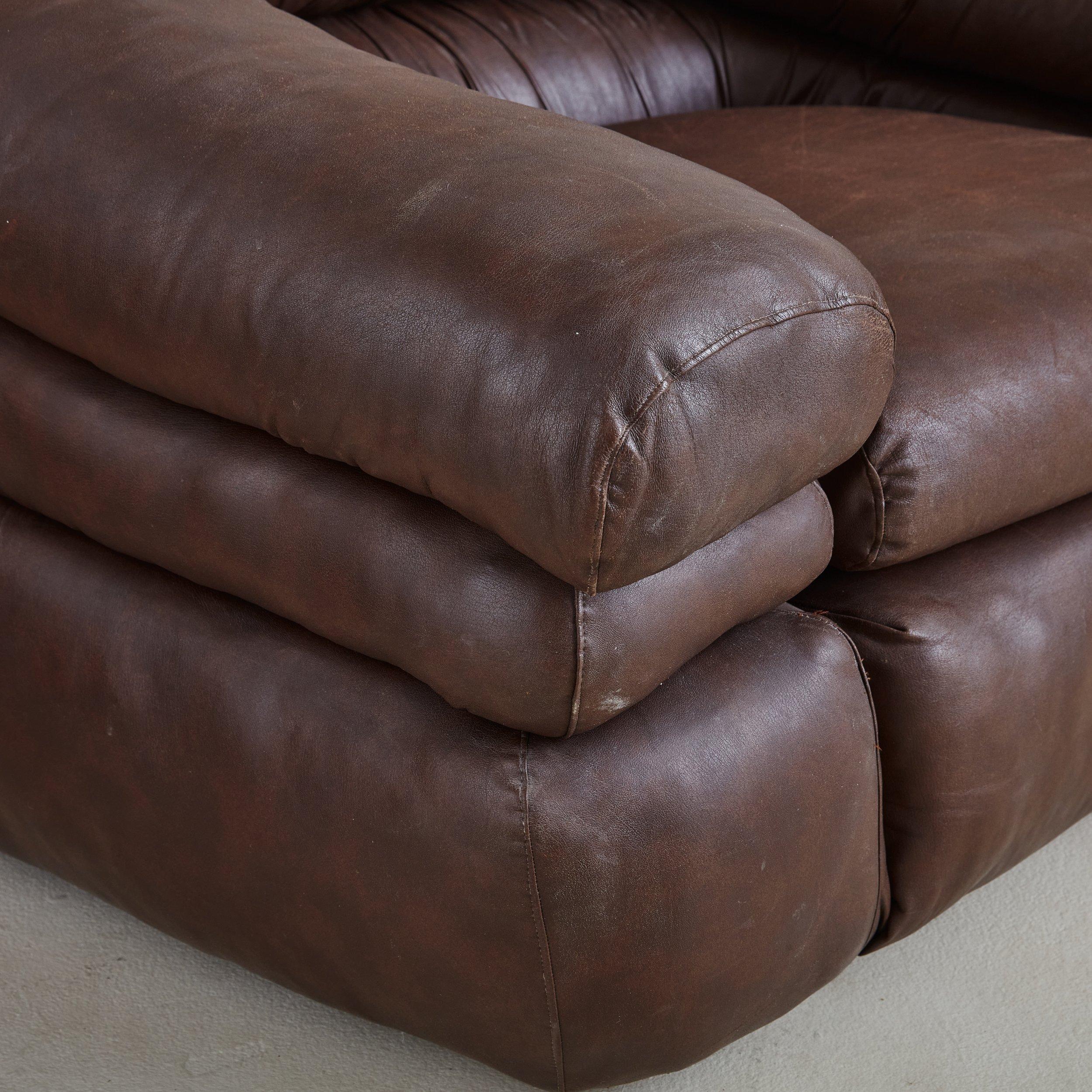 Pair of Large Brown Leather Lounge Chairs by de Pas, D’Urbino & Lomazzi, Italy For Sale 5