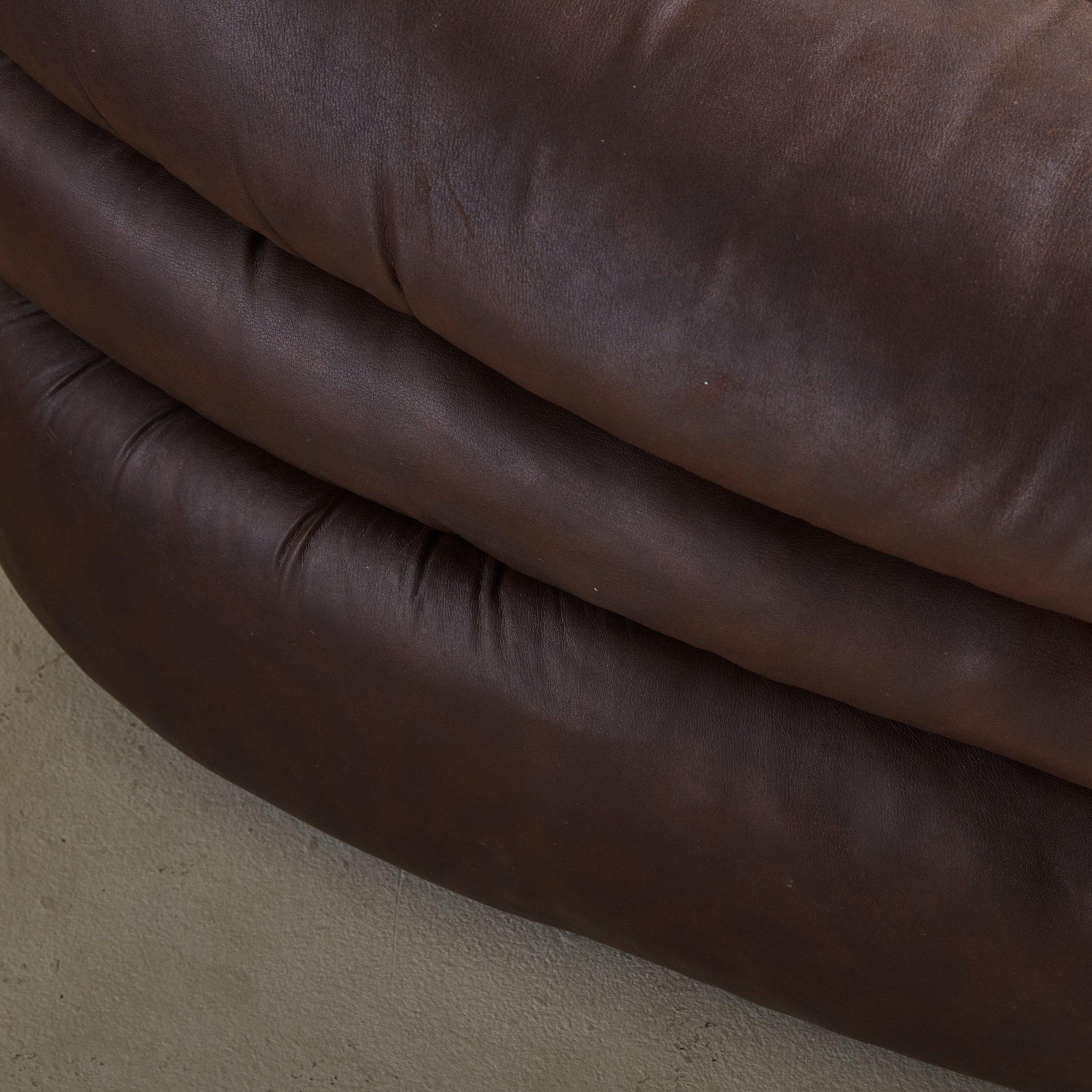 Pair of Large Brown Leather Lounge Chairs by de Pas, D’Urbino & Lomazzi, Italy For Sale 2