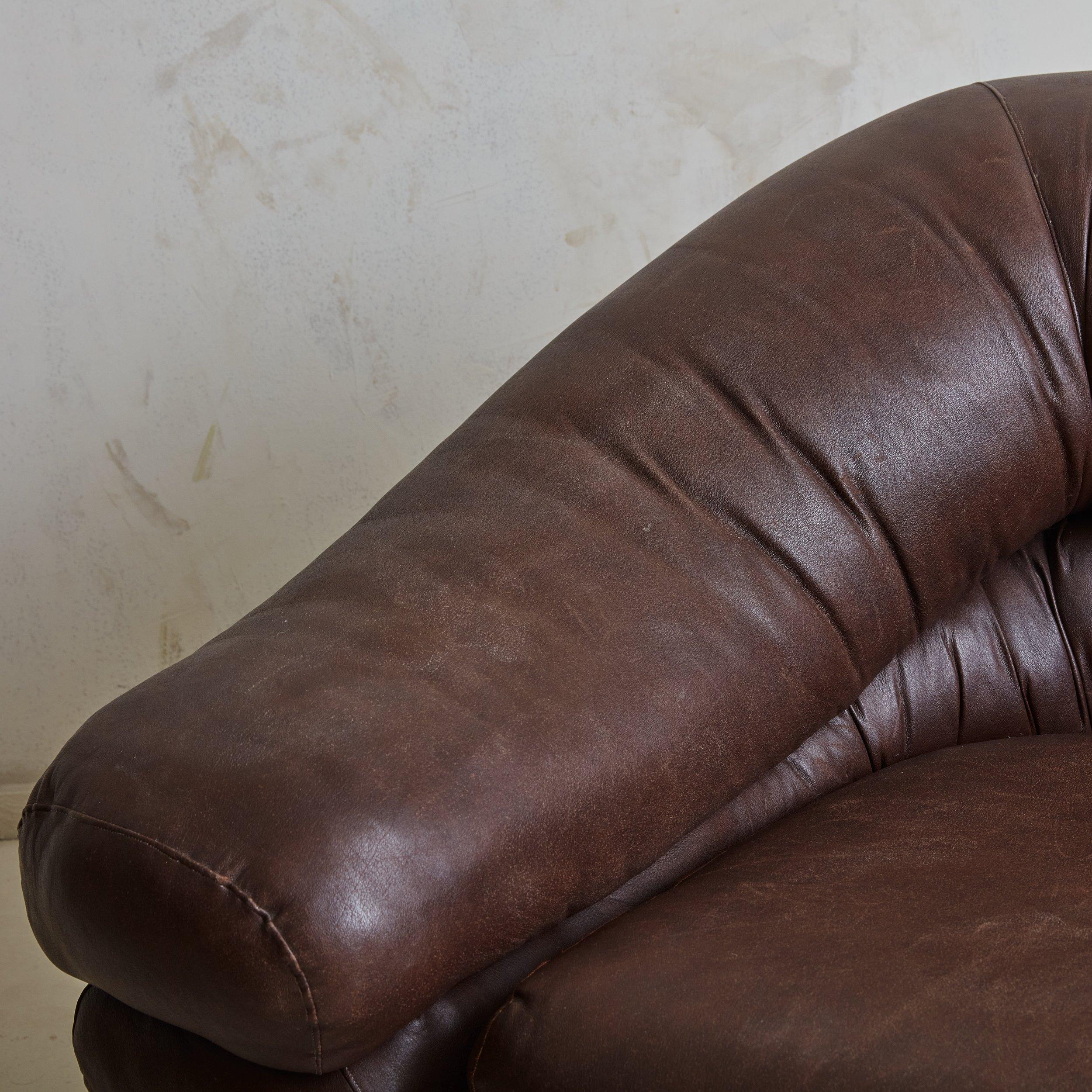 Pair of Large Brown Leather Lounge Chairs by de Pas, D’Urbino & Lomazzi, Italy For Sale 3