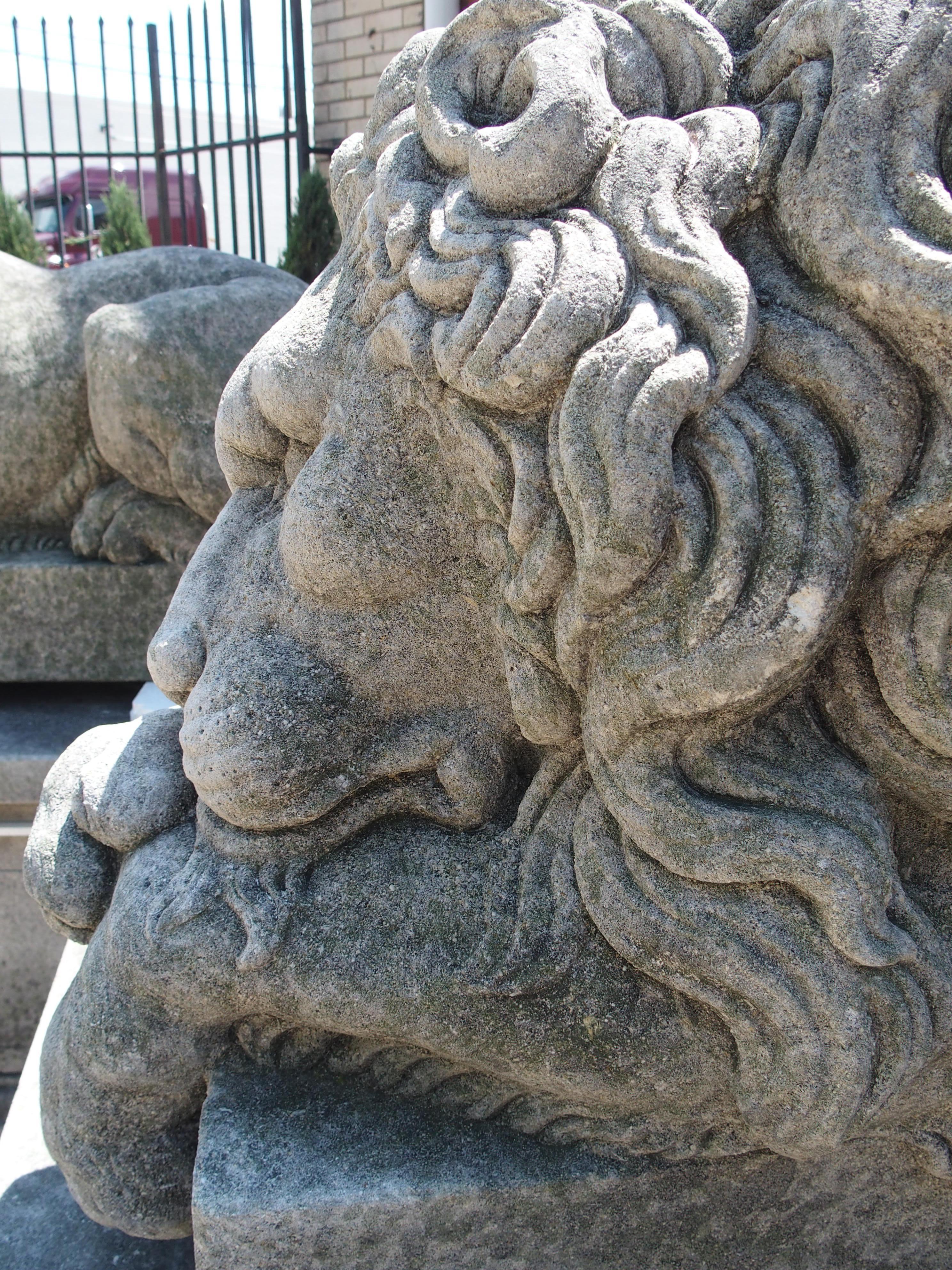 Paire de grands lions sculptés sur des piédestaux, le endormi et le vigilant en vente 10