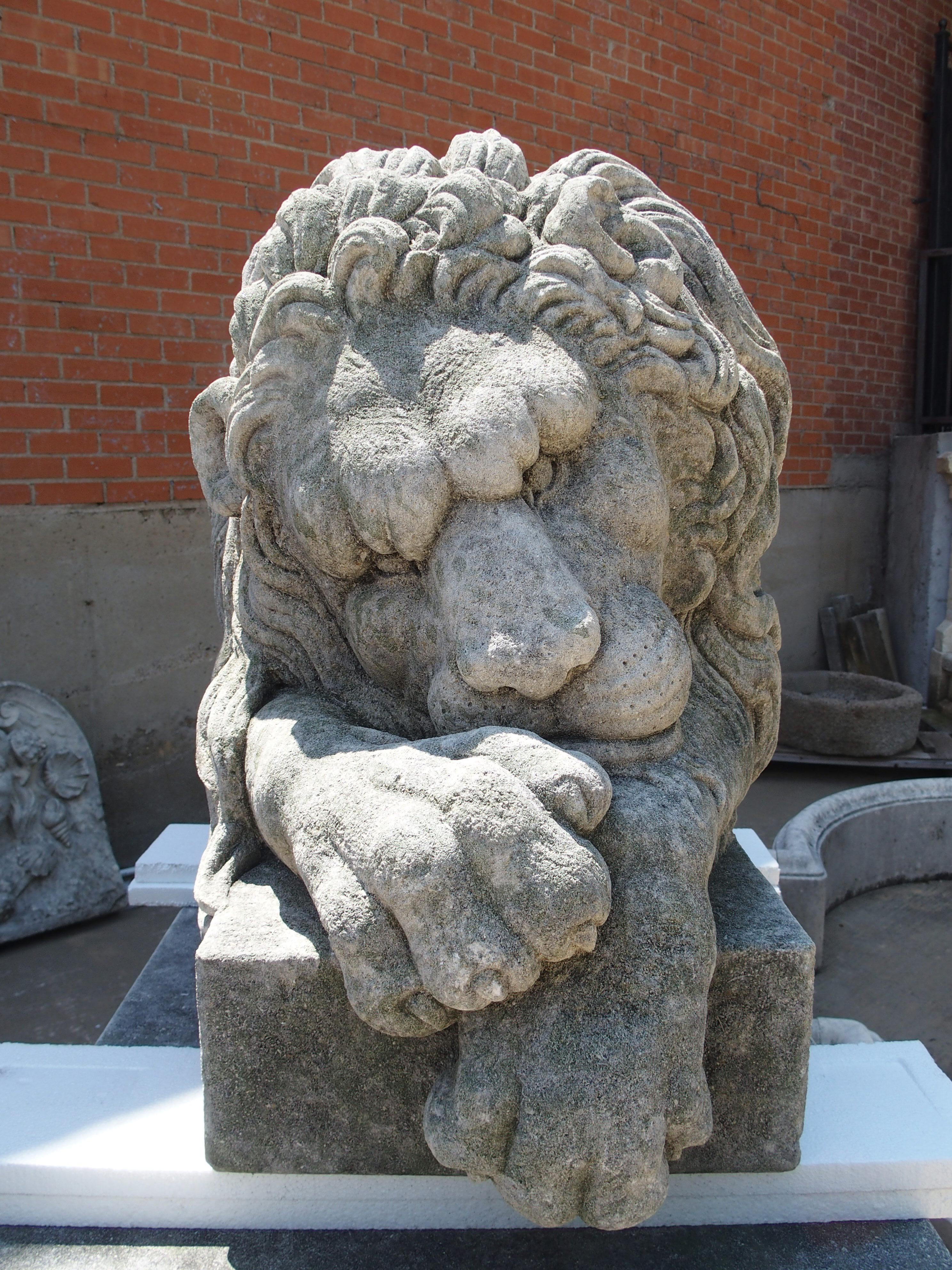 XXIe siècle et contemporain Paire de grands lions sculptés sur des piédestaux, le endormi et le vigilant en vente