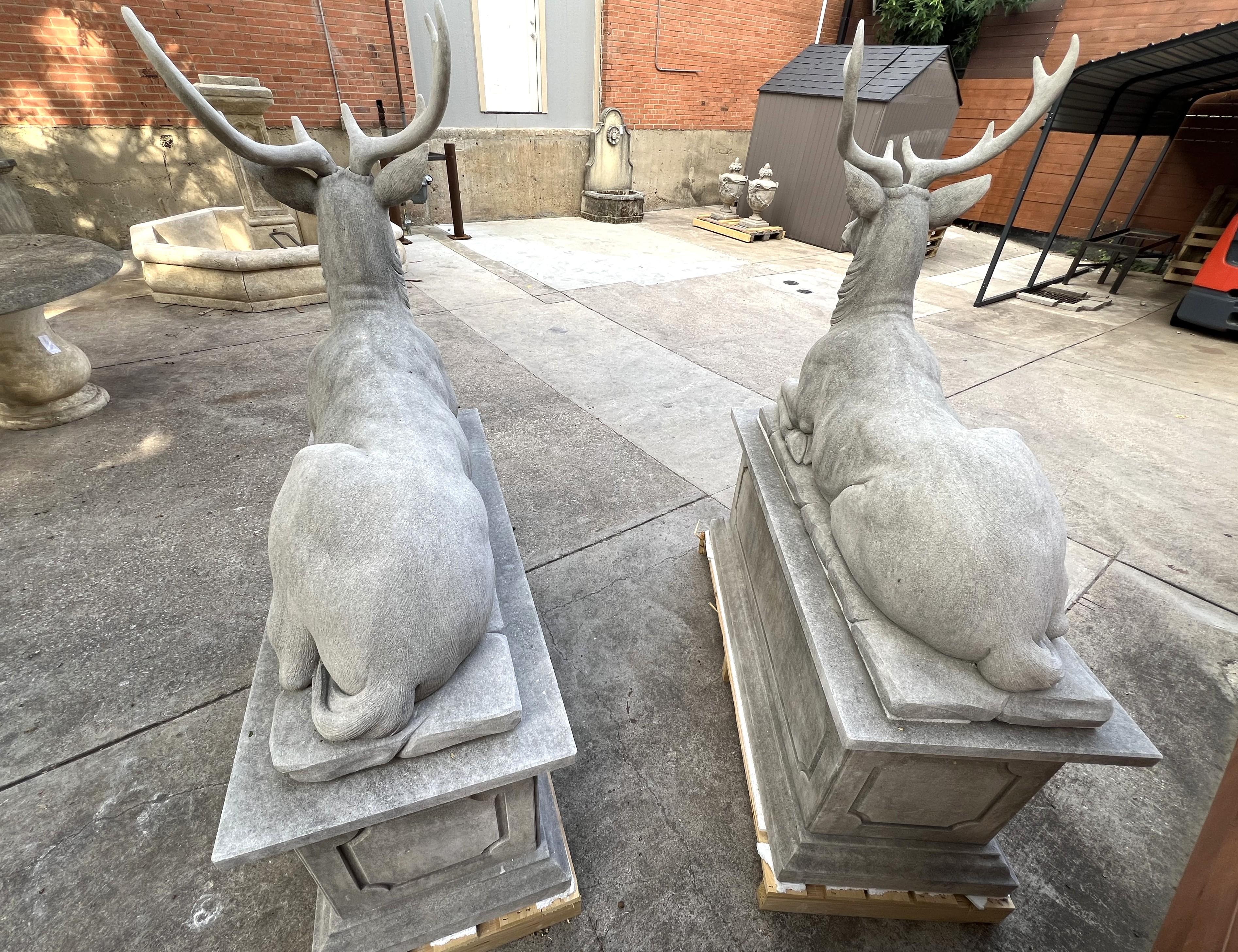 More information coming soon…

Presented on classic pedestals adorned with several layers of ogee molding and geometric carvings on all four sides, this pair of large limestone stags are from Italy.  The roughly life-sized deer are well detailed,