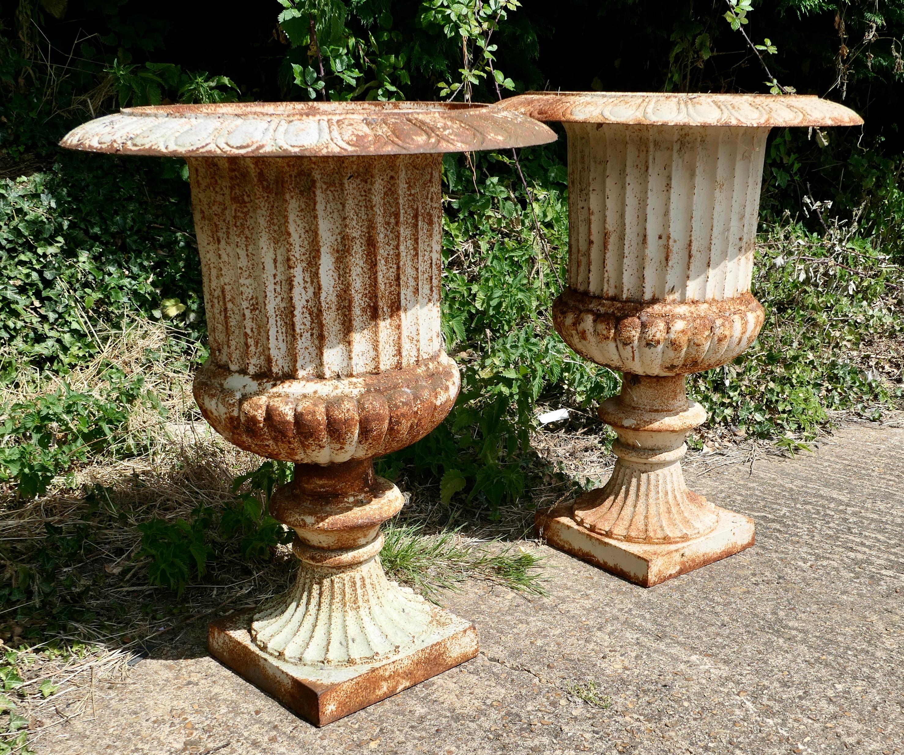 Paar von  Große Gusseisen-Gartenurnen, Garten-Pflanzgefäße im Zustand „Gut“ im Angebot in Godshill, Isle of Wight