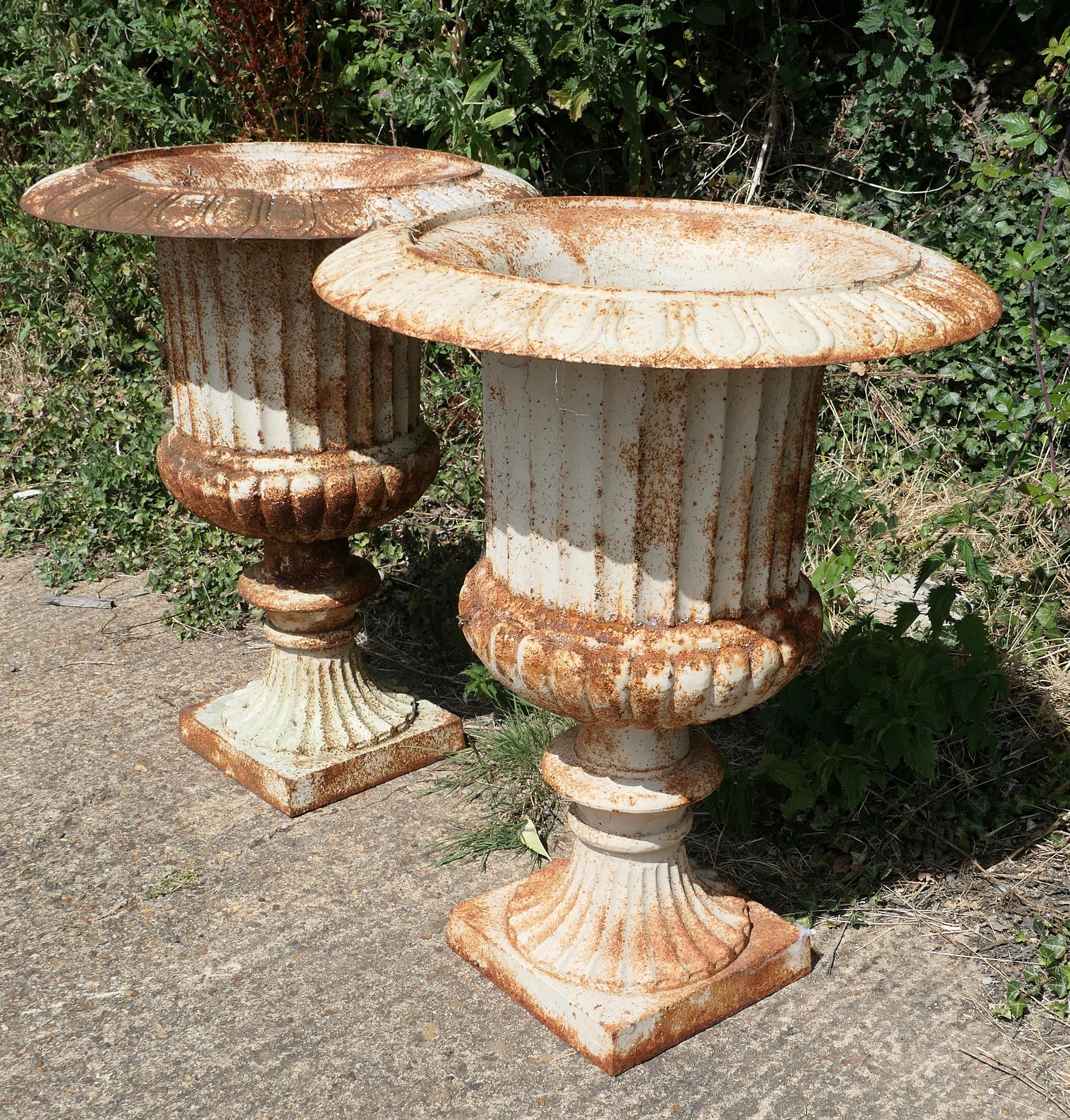 Early 20th Century Pair of  Large Cast Iron Garden Urns, Garden Planters    For Sale