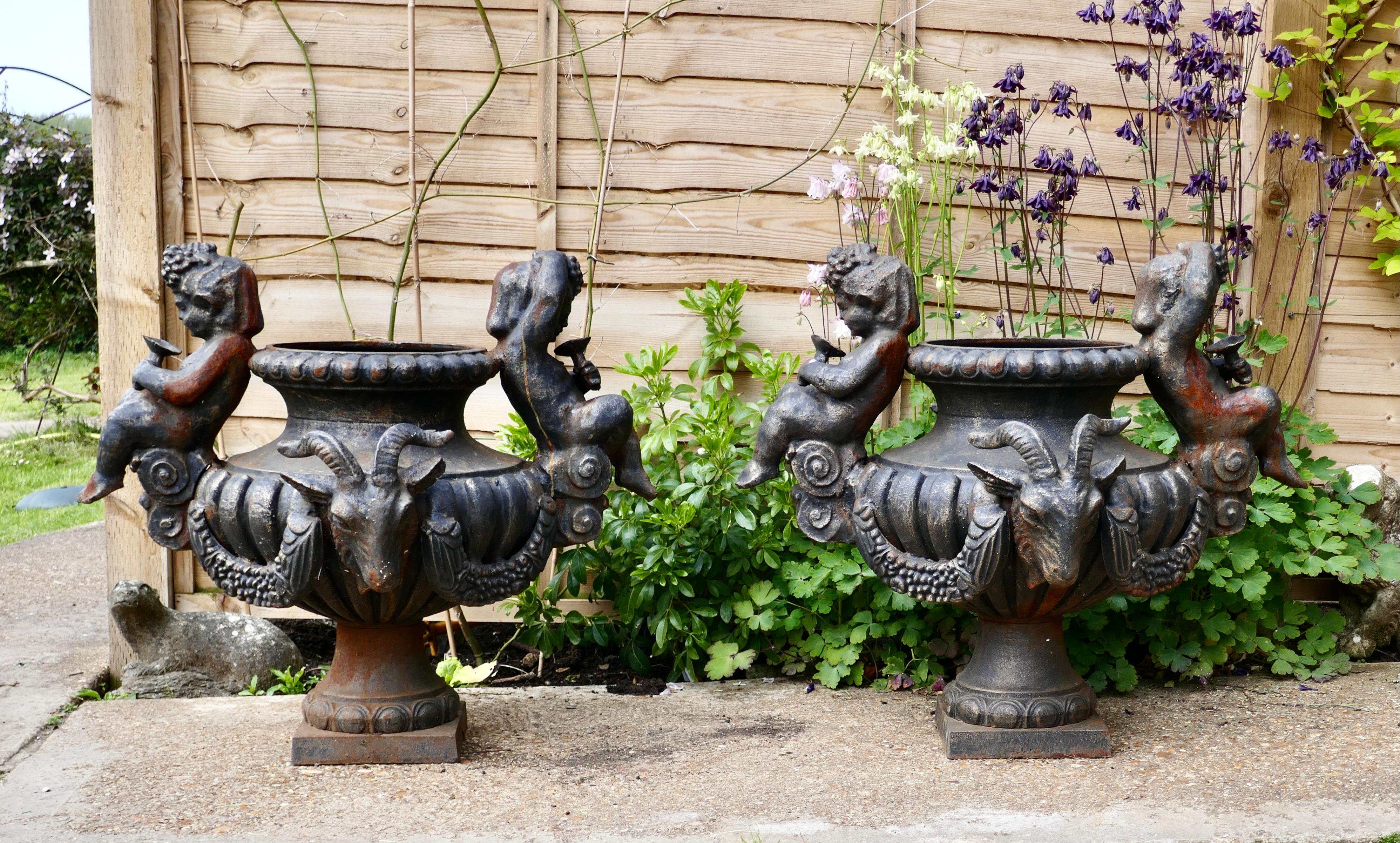 Pair of Large Cast Iron Garden Urns with Rams and Putti

Beautifully Weathered Large Urns, each decorated with 2 cherubs and 2 Rams heads 
The Urns are slightly rusty but otherwise they are in good Condition and obviously Heavy

The Urns are 27”