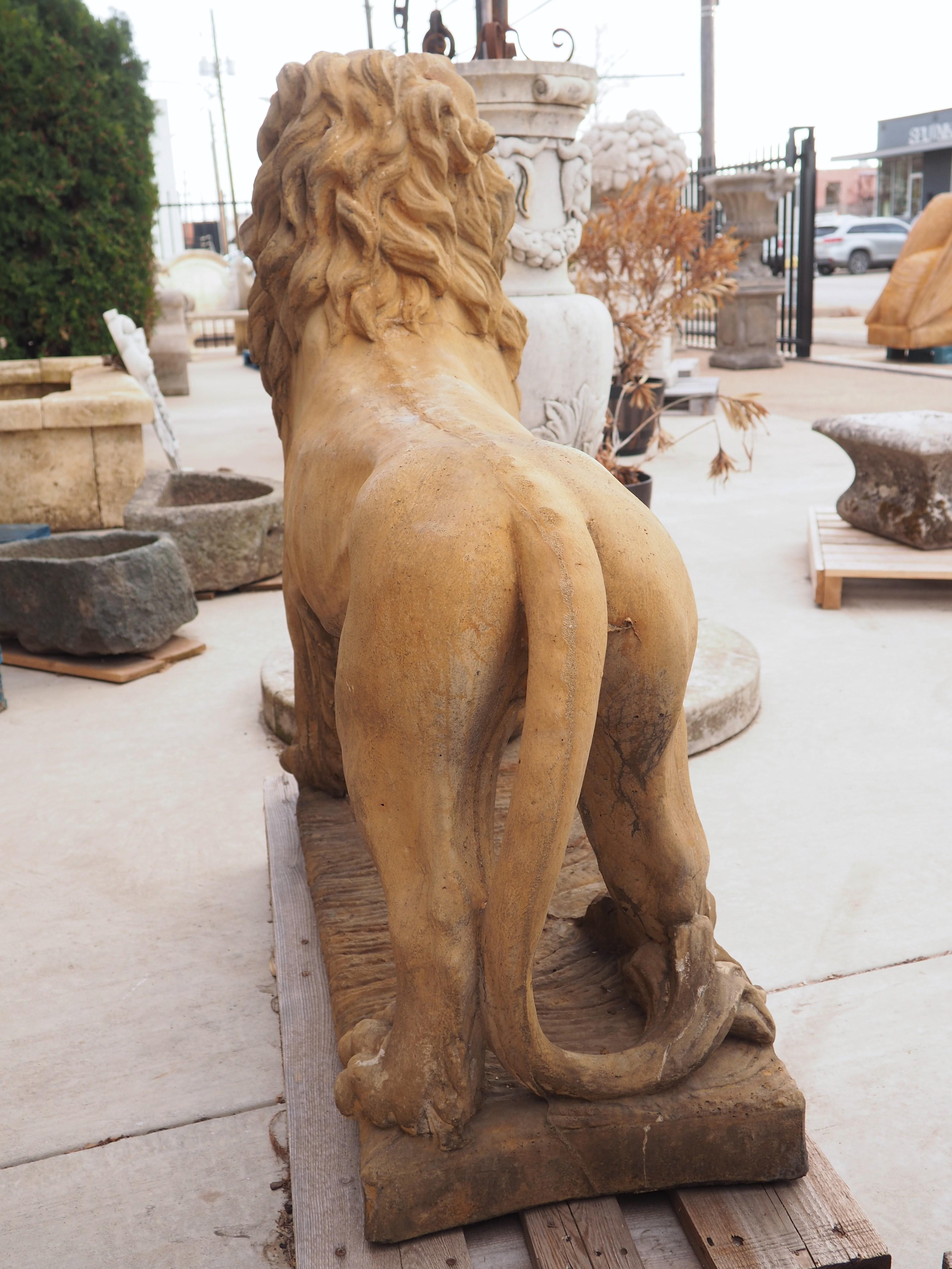 Pair of Large Cast Medici Lion Statues or Fountain Elements from France 8
