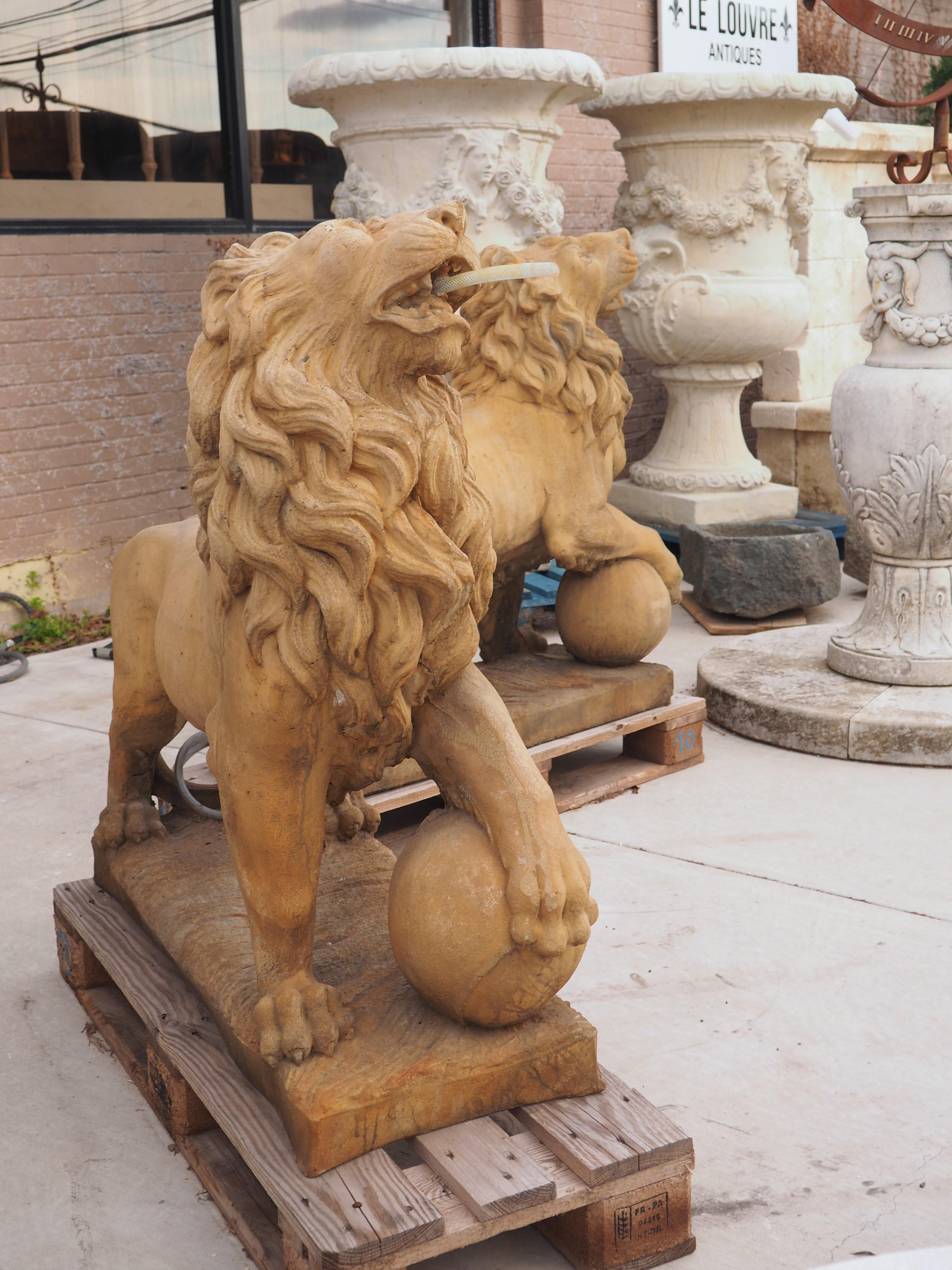 Pair of Large Cast Medici Lion Statues or Fountain Elements from France 10