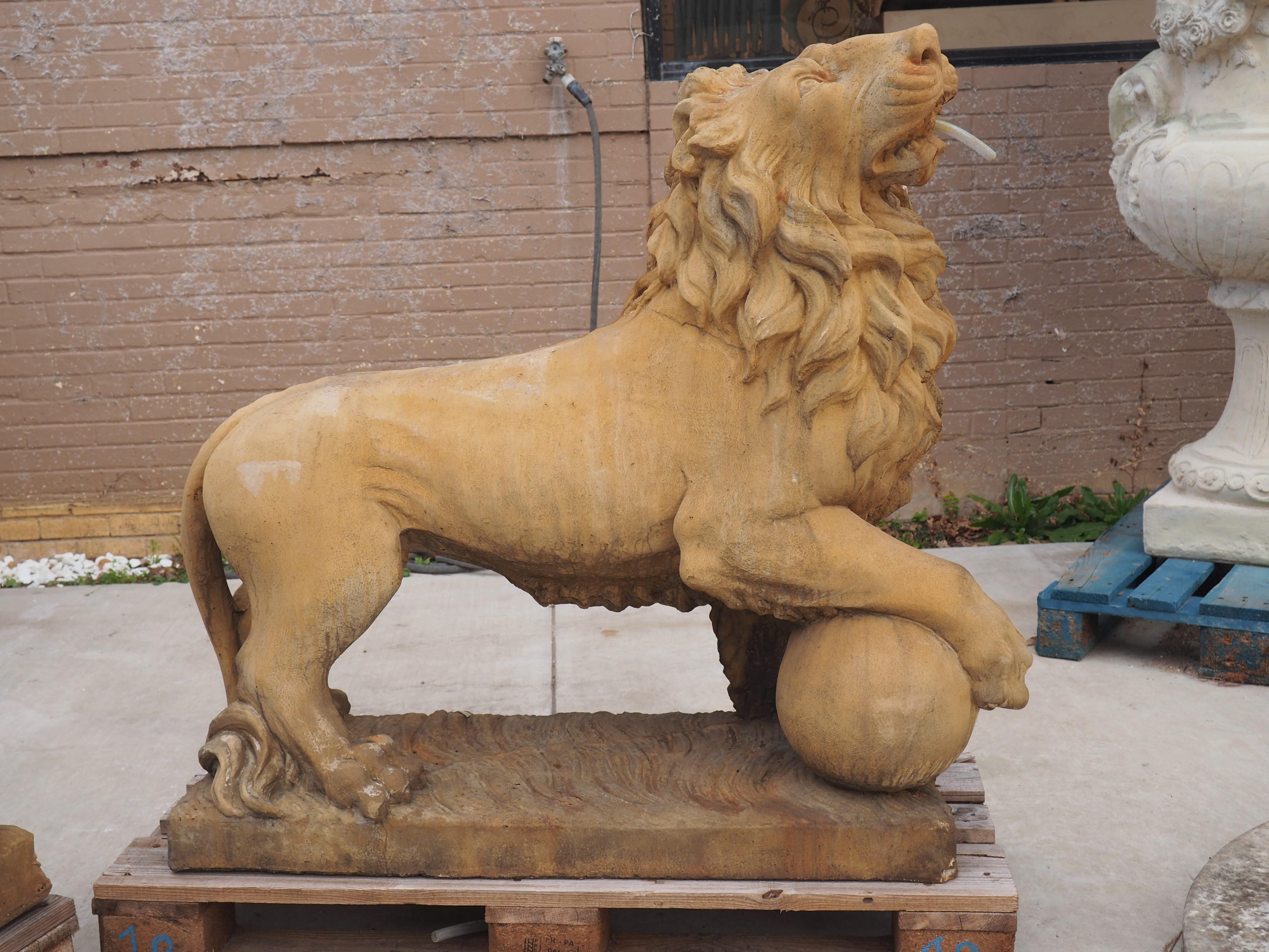 Cast in the style of the famed Medici Lions, these French lion statues have been plumbed for use as fountain elements. The large lions are mirror images, with one lion having a ball under its left forepaw, while the other one has a ball under its