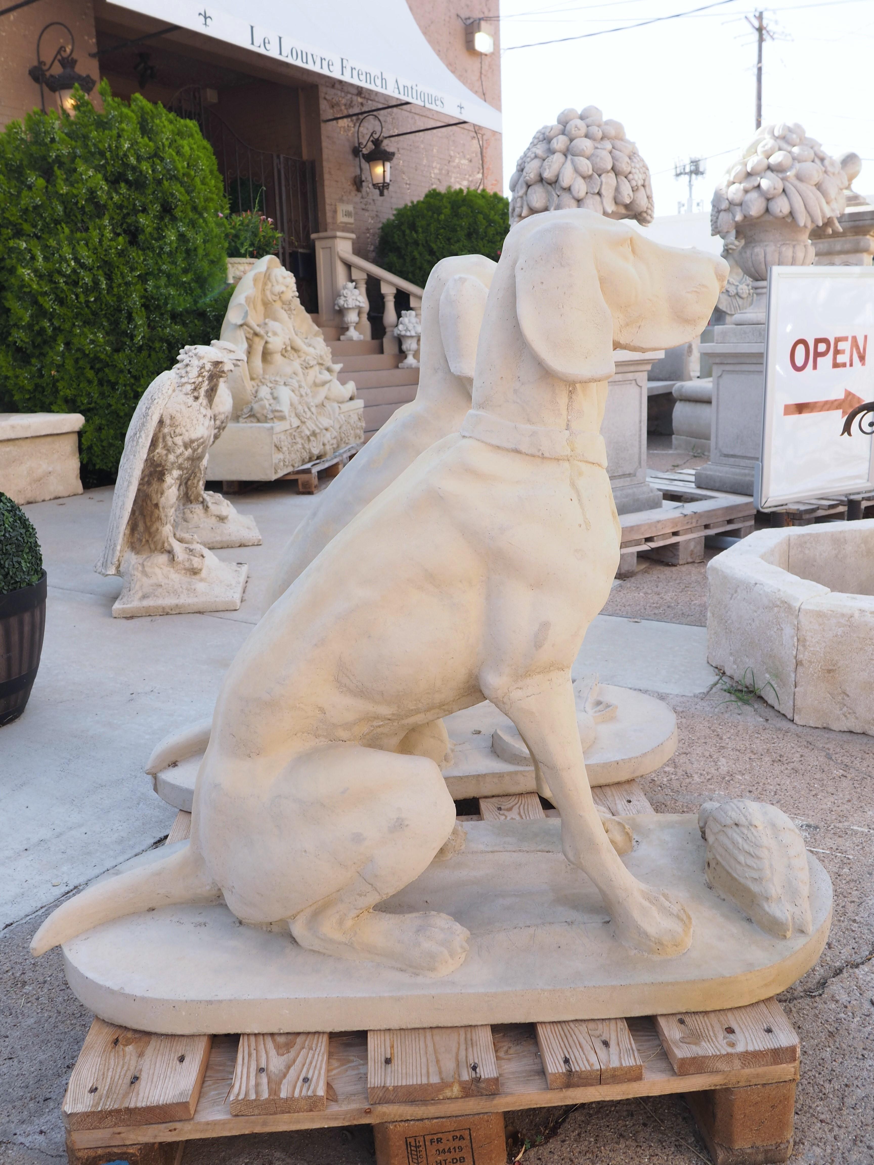 Pair of Large Cast Stone Hunting Dogs from France 5