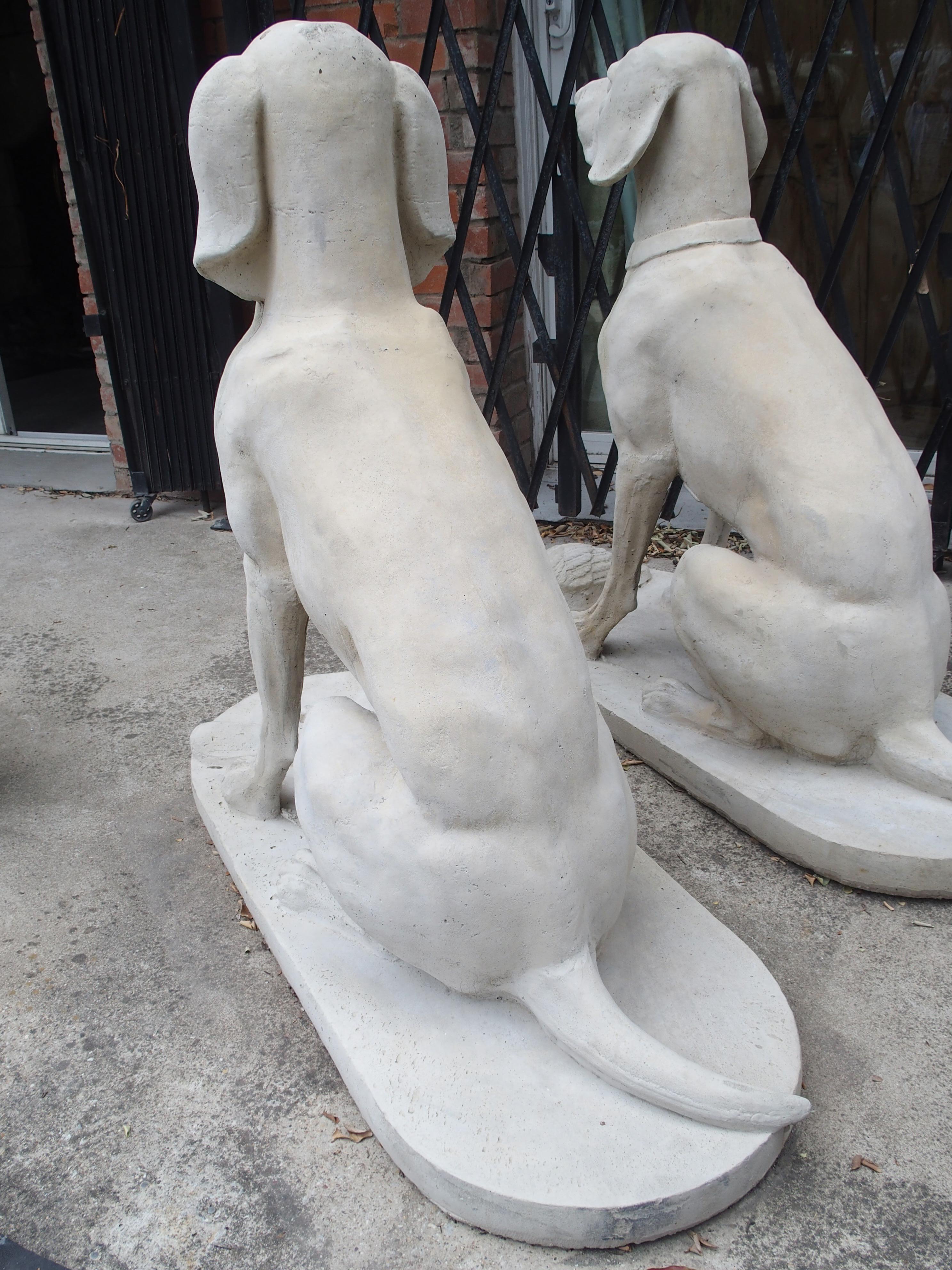 Pair of Large Cast Stone Hunting Dogs from France 4