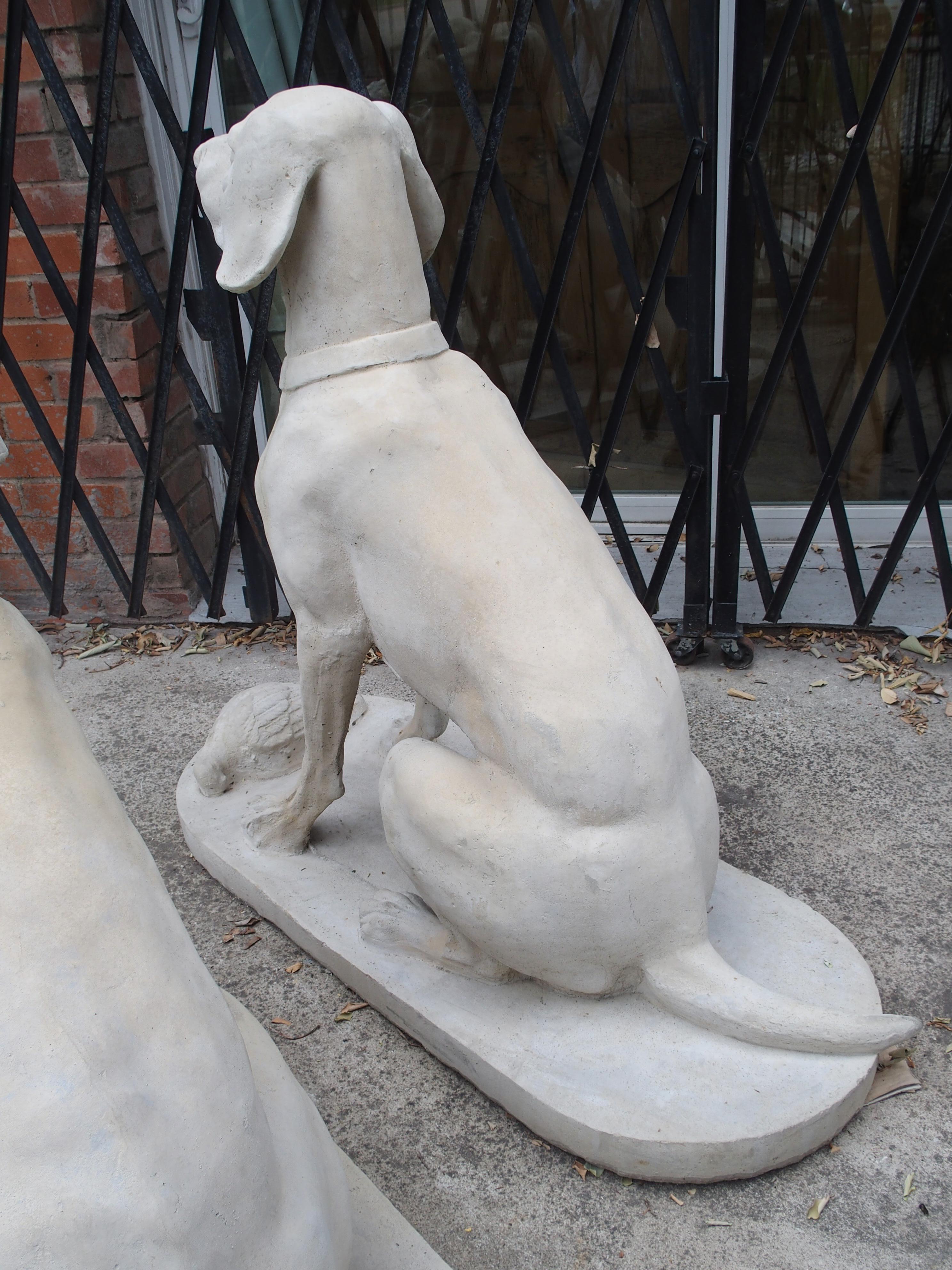 Pair of Large Cast Stone Hunting Dogs from France 5