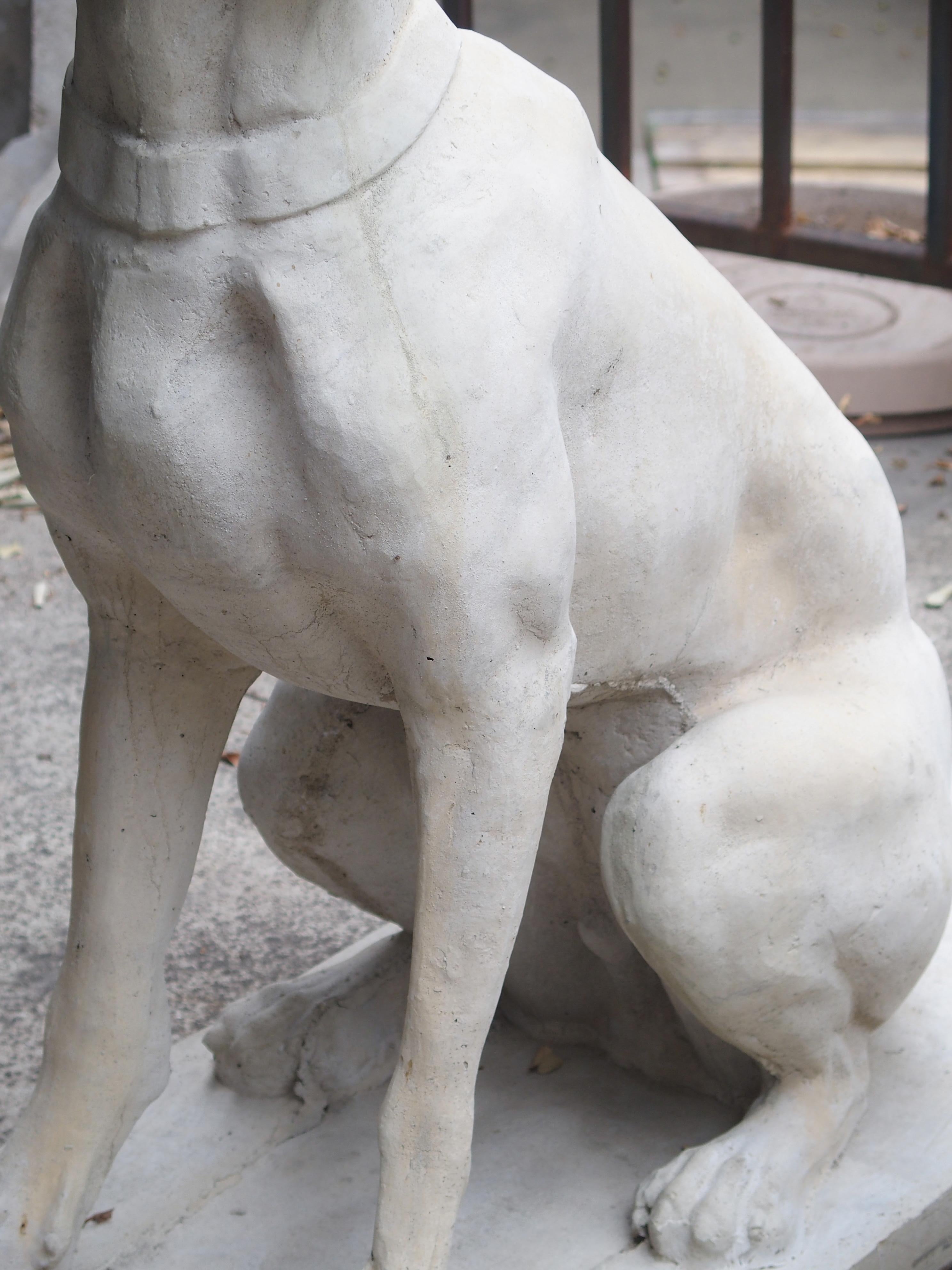 Pair of Large Cast Stone Hunting Dogs from France 9