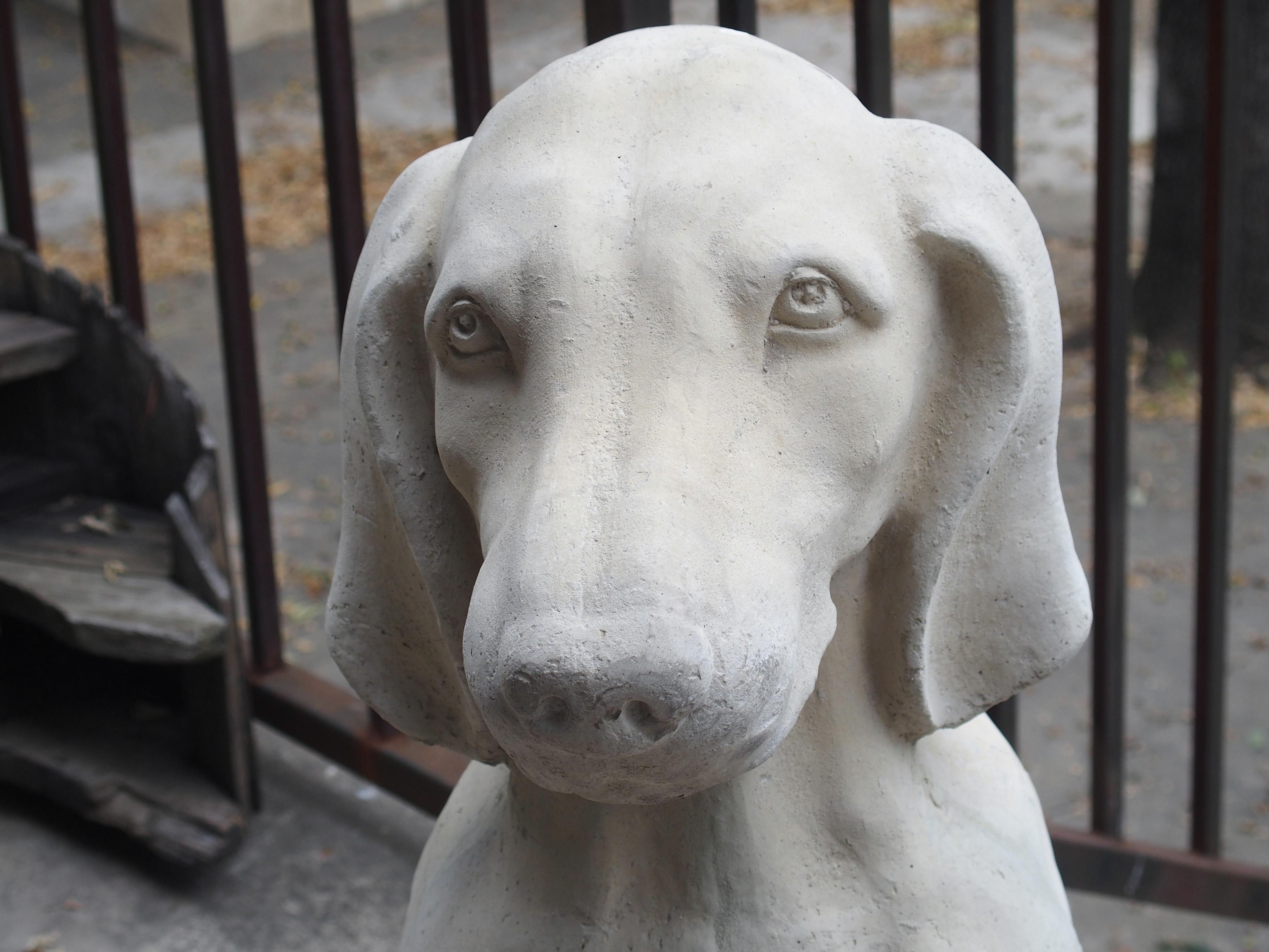 Pair of Large Cast Stone Hunting Dogs from France 11