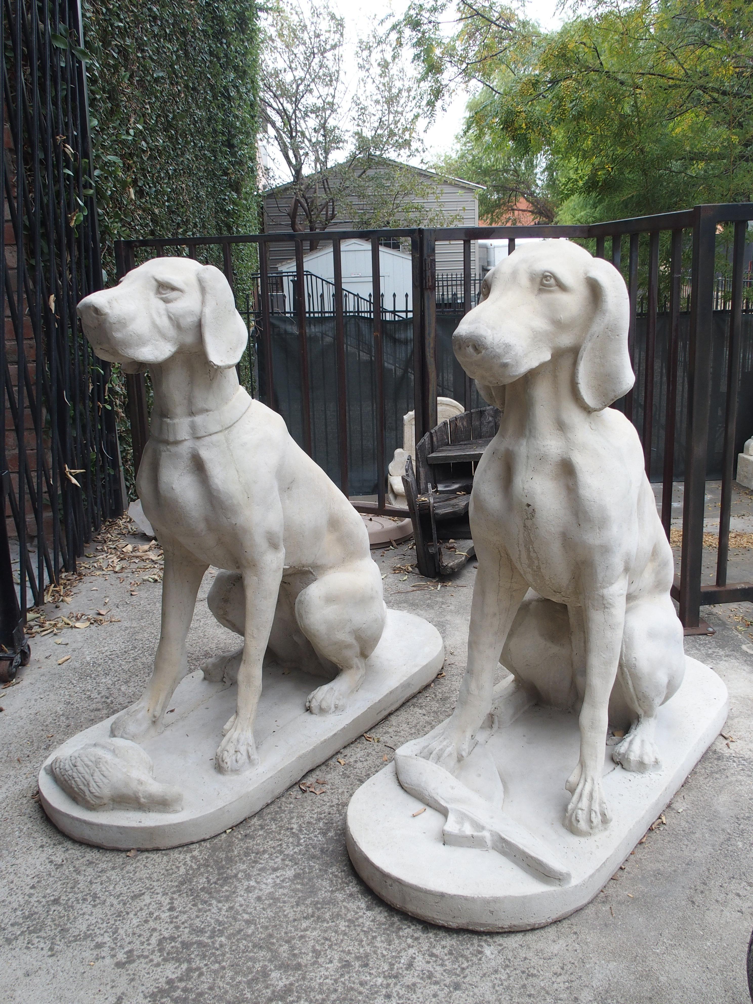 Pair of Large Cast Stone Hunting Dogs from France 13