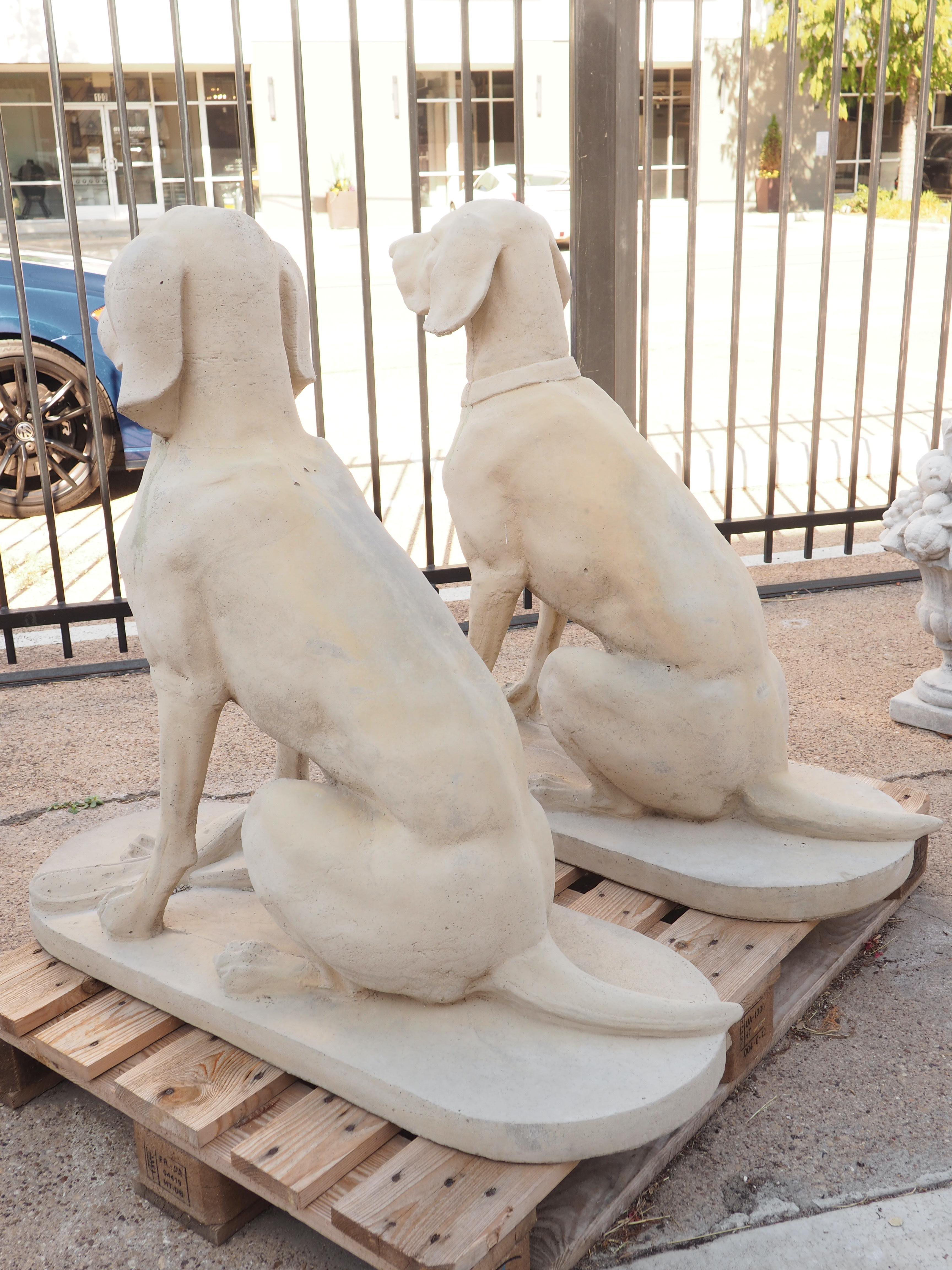 Pair of Large Cast Stone Hunting Dogs from France 3