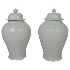 Pair of Large Chinese Baluster Vases