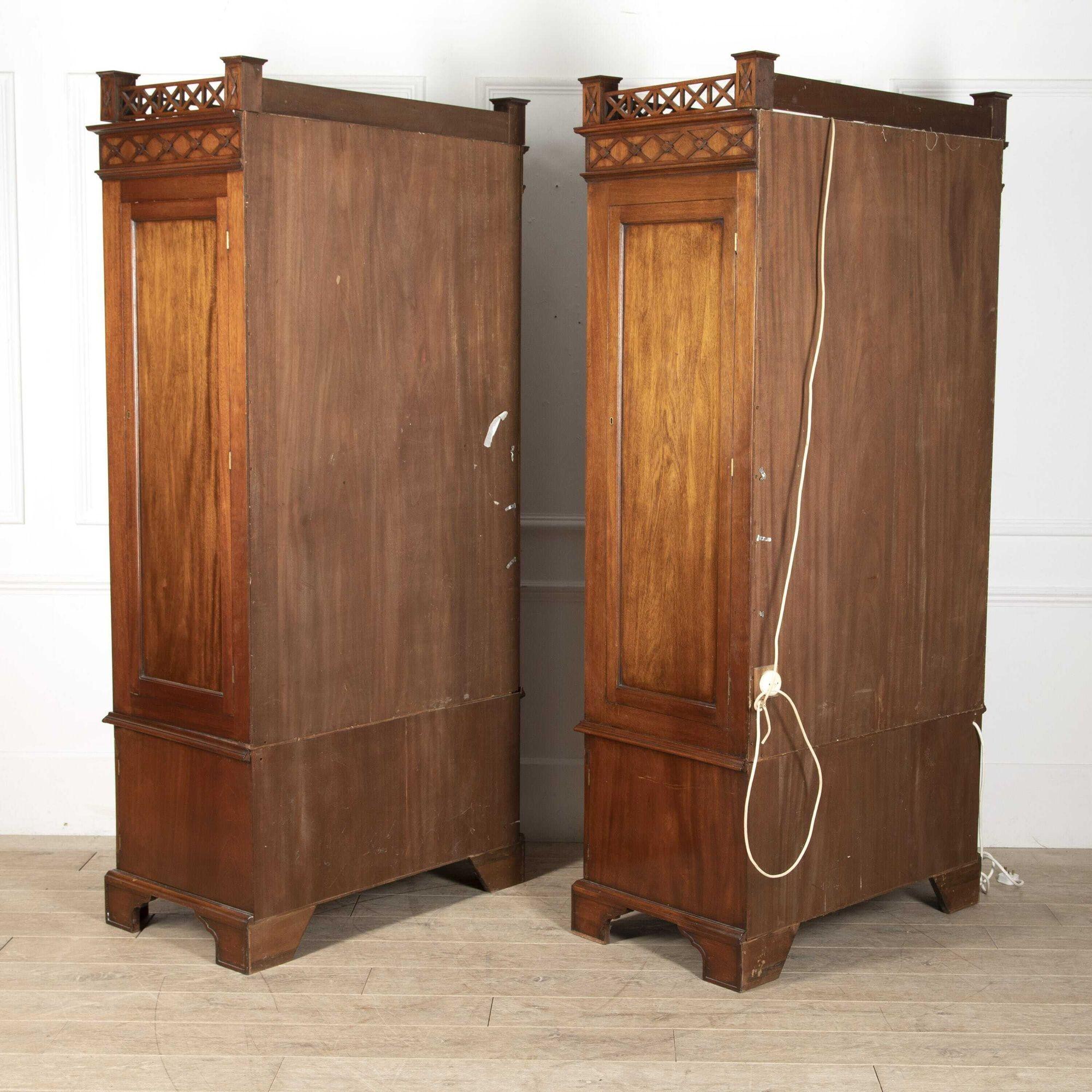 Pair of Large Chinoiserie Style Collectors Display Cabinets 2