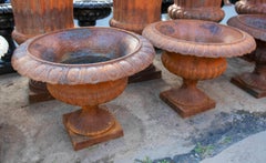 Pair of Large Classic Cast Iron Planters with Aged Patina