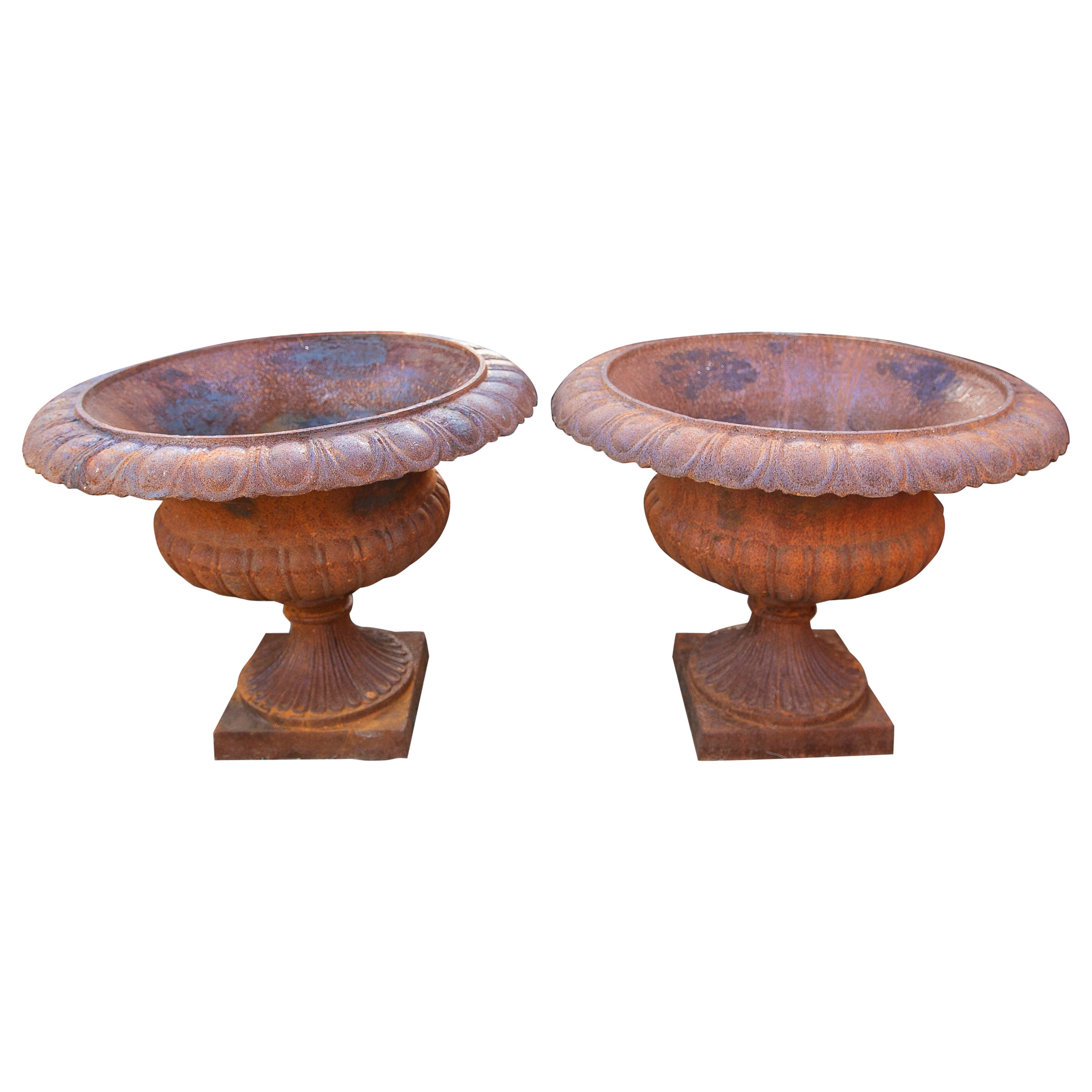 Pair of Large Classic Cast Iron Planters with Aged Patina