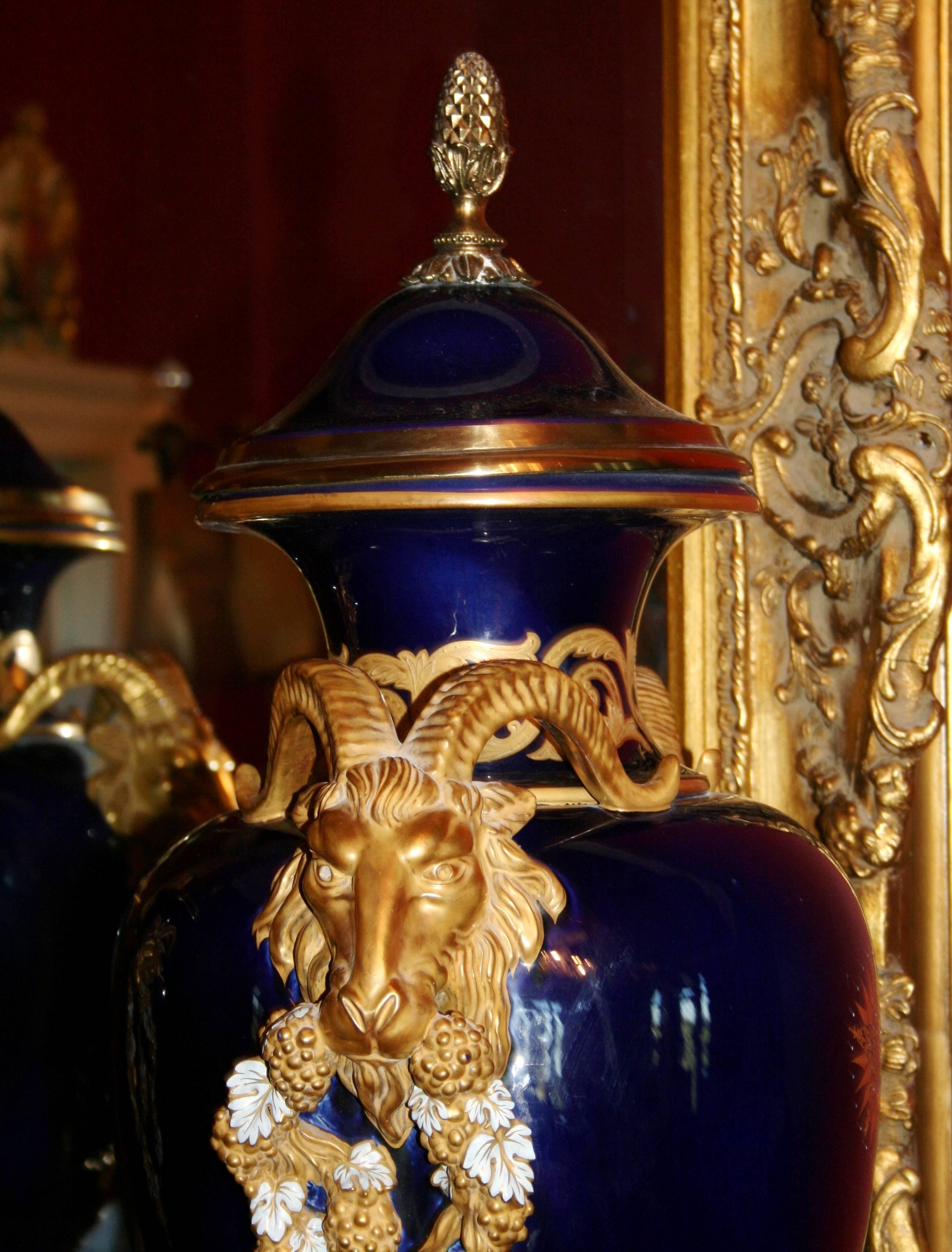 Pair of Large Cobalt Blue Lidded Urns with Gilt Rams Head Handles For Sale 4