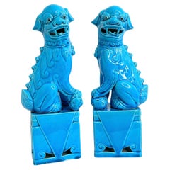 Coppia di grandi sculture decorative di cani Foo blu turchese, statua in ceramica