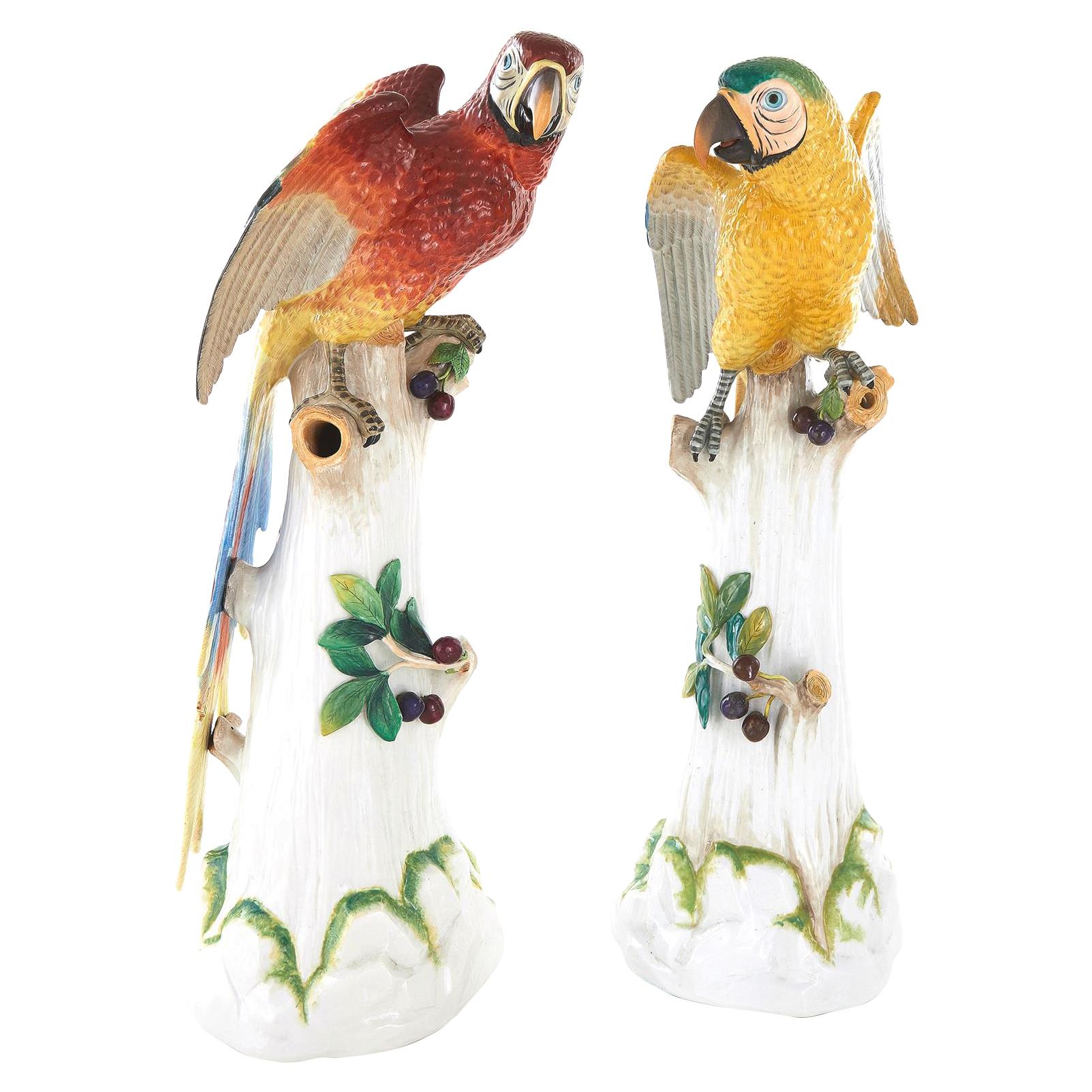 Pair of Large Dresden Porcelain Parrots