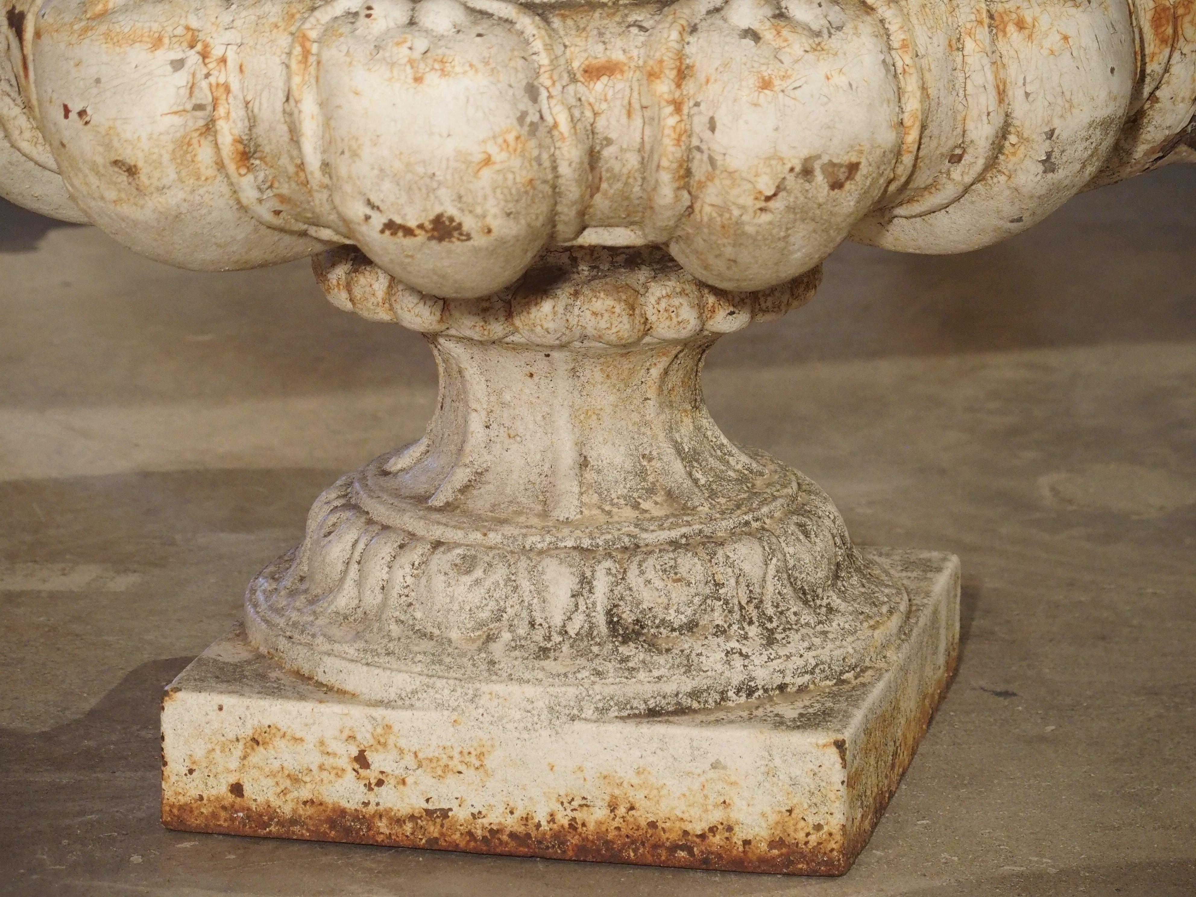 This pair of large cast iron English vases have been painted white and are from the early 1900’s. The diameter of the vase openings are 18 inches, allowing for a large floral or greenery display. Maximum width is just over 3 feet.

The handles of
