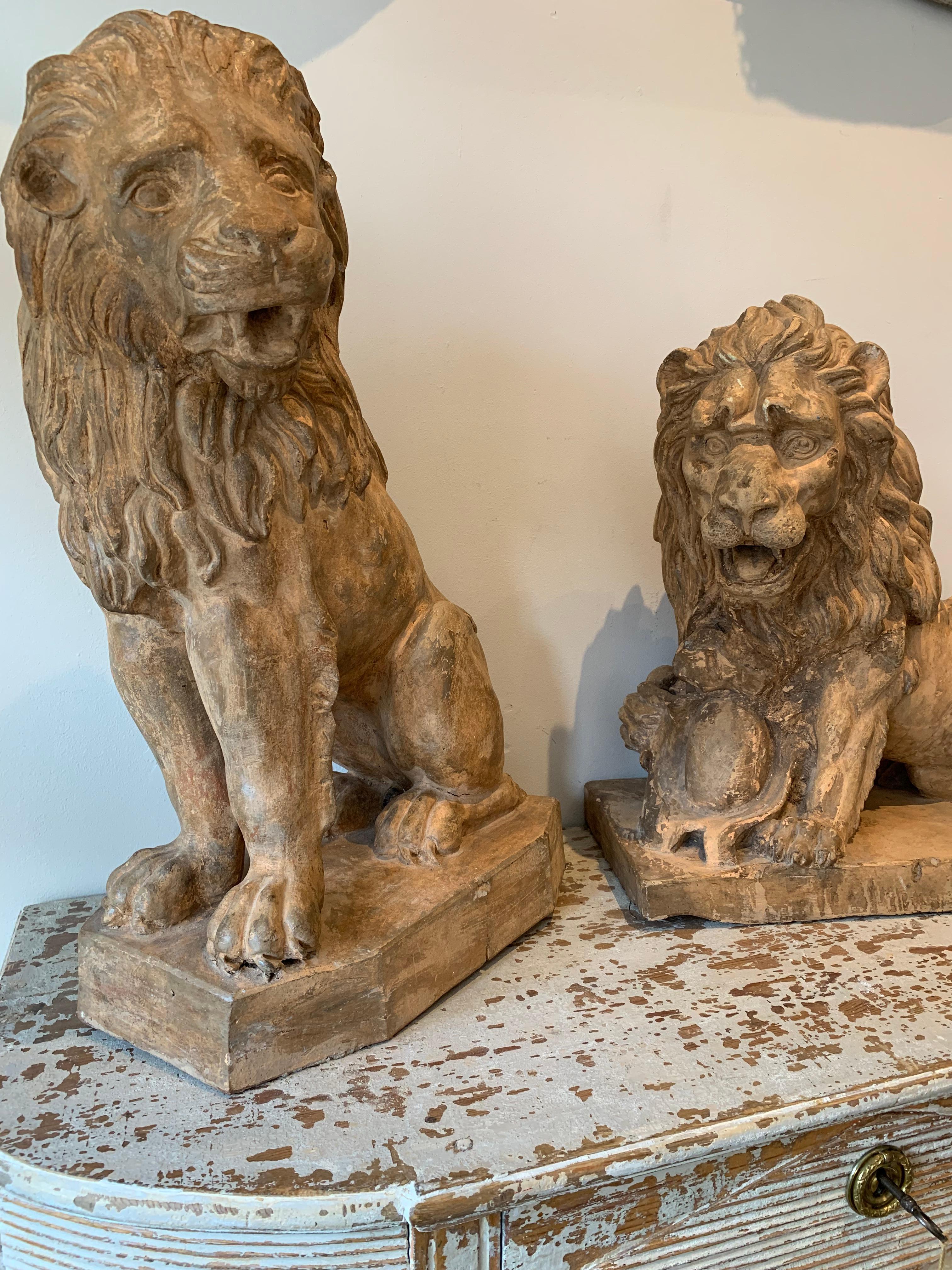 Fabulous pair of early circa 19th century French lions in a warm honey coloured terracotta.
Both are stylised and life like, with manes, with one a bobbed tail seated upright and the other slightly reclining with its paw on a heraldic shield.
In