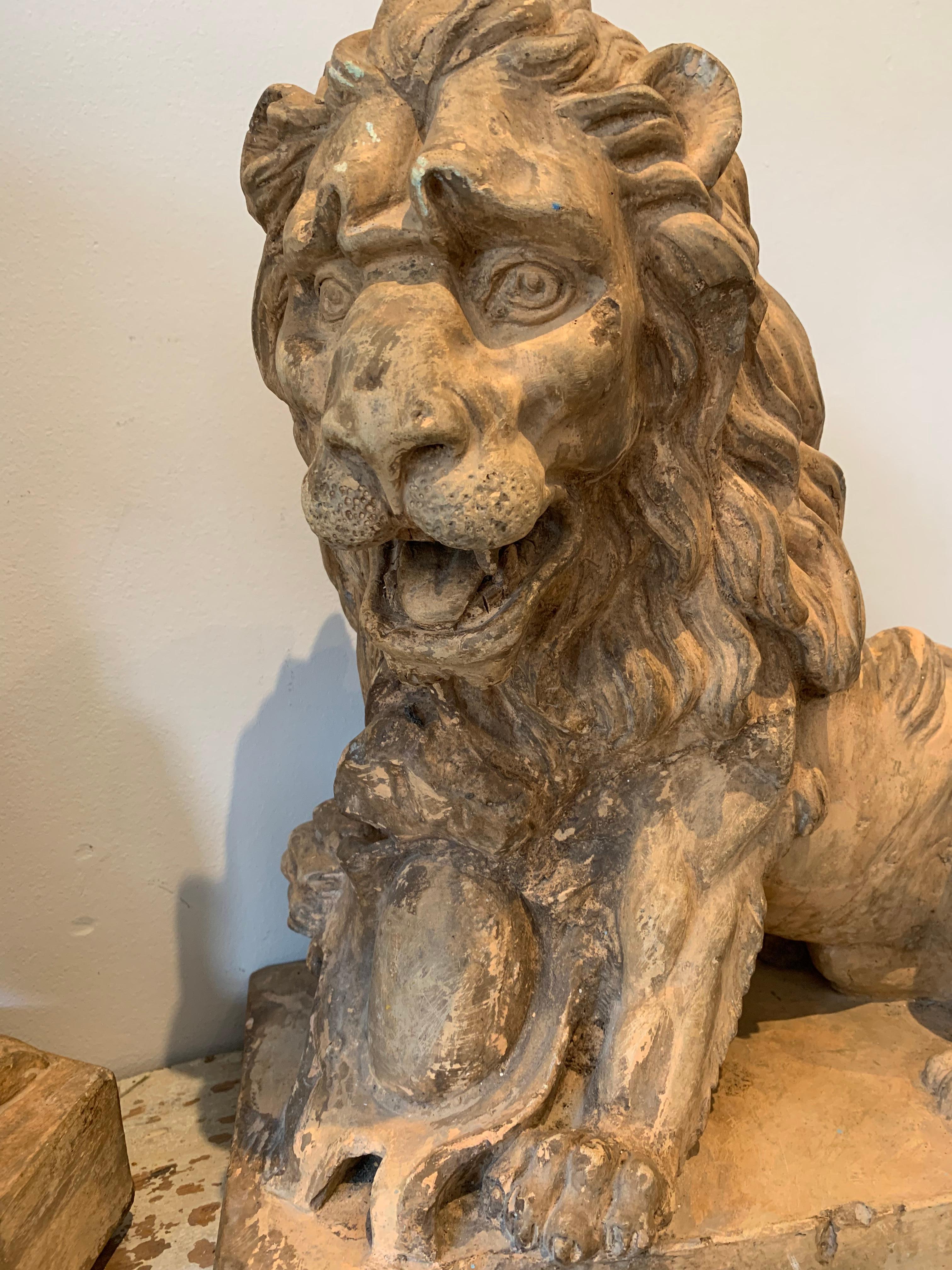 Painted Pair of Large Early 19th Century French Terracotta Honey Coloured Lions  For Sale