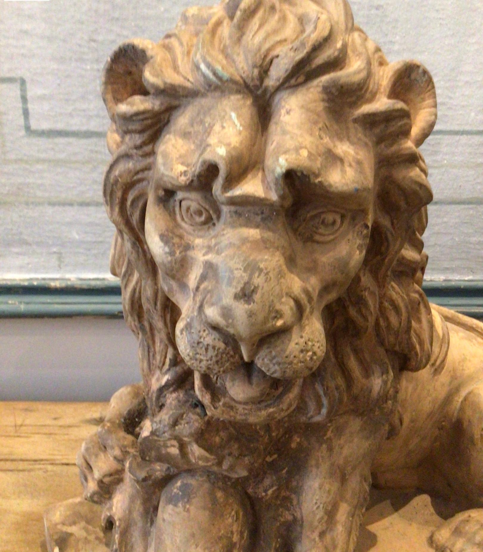 Pair of Large Early 19th Century French Terracotta Honey Coloured Lions  For Sale 3