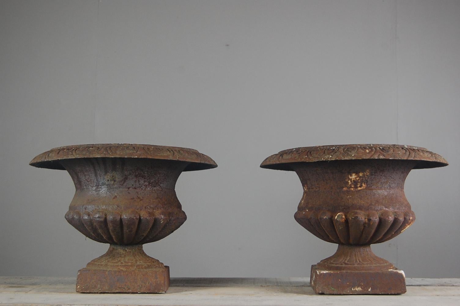 Pair of Large Early 20th Century Cast Iron Urns 3