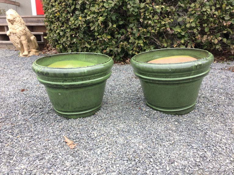 Pair of Large Earthy Green Glazed Terracotta Flower Pot Pair of Large Earthy Green Glazed Terracotta Flower Pot