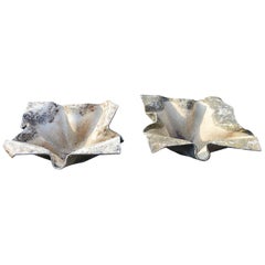 Pair of Large Elephant Ear Planters Designed by Willy Guhl