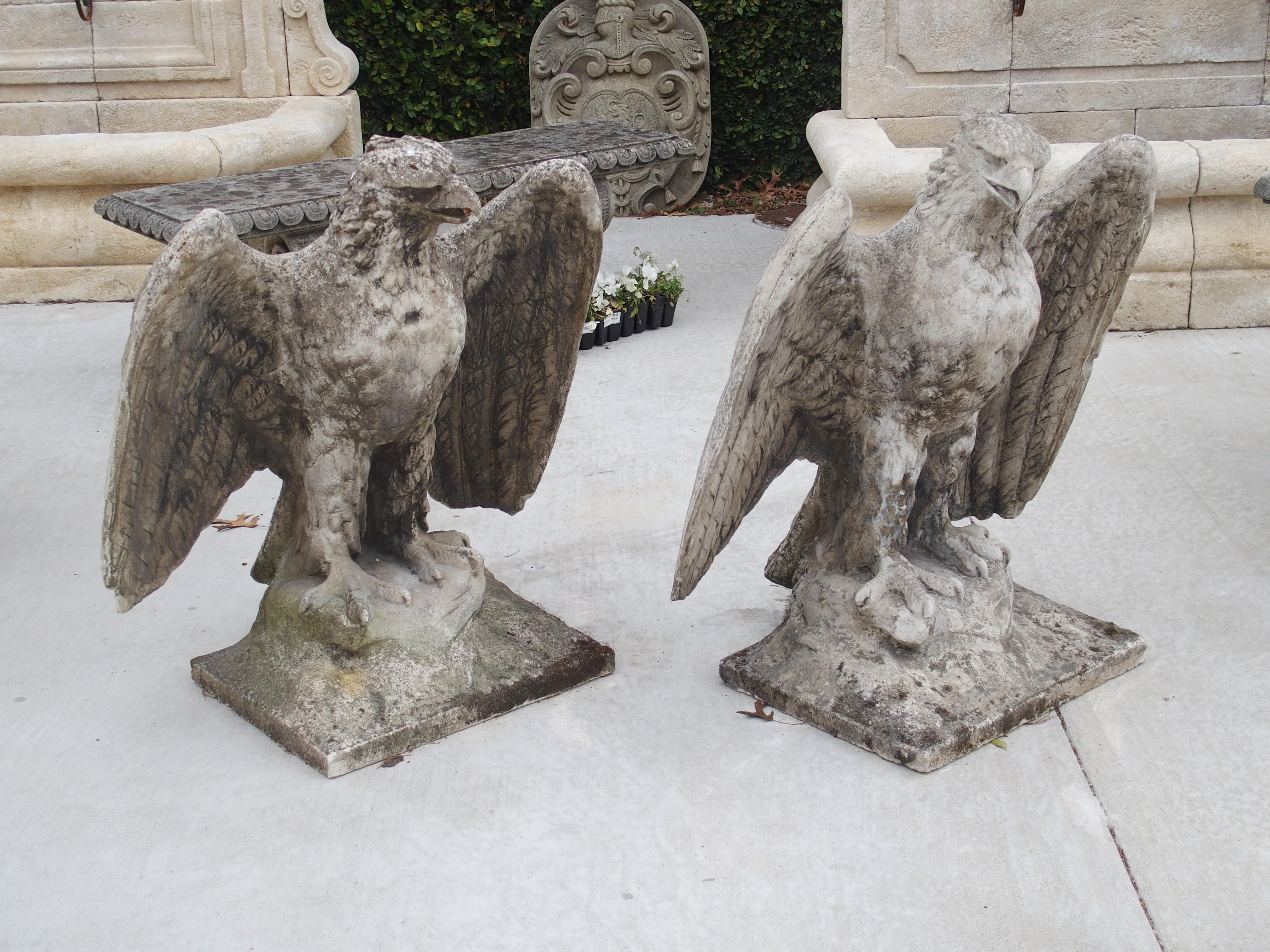 This large pair of cast stone eagles was recently salvaged from a property in England, and they were produced around the 1920’s. The pair is said to be opposing, as one bird is looking left, while the other is looking right. This would require two