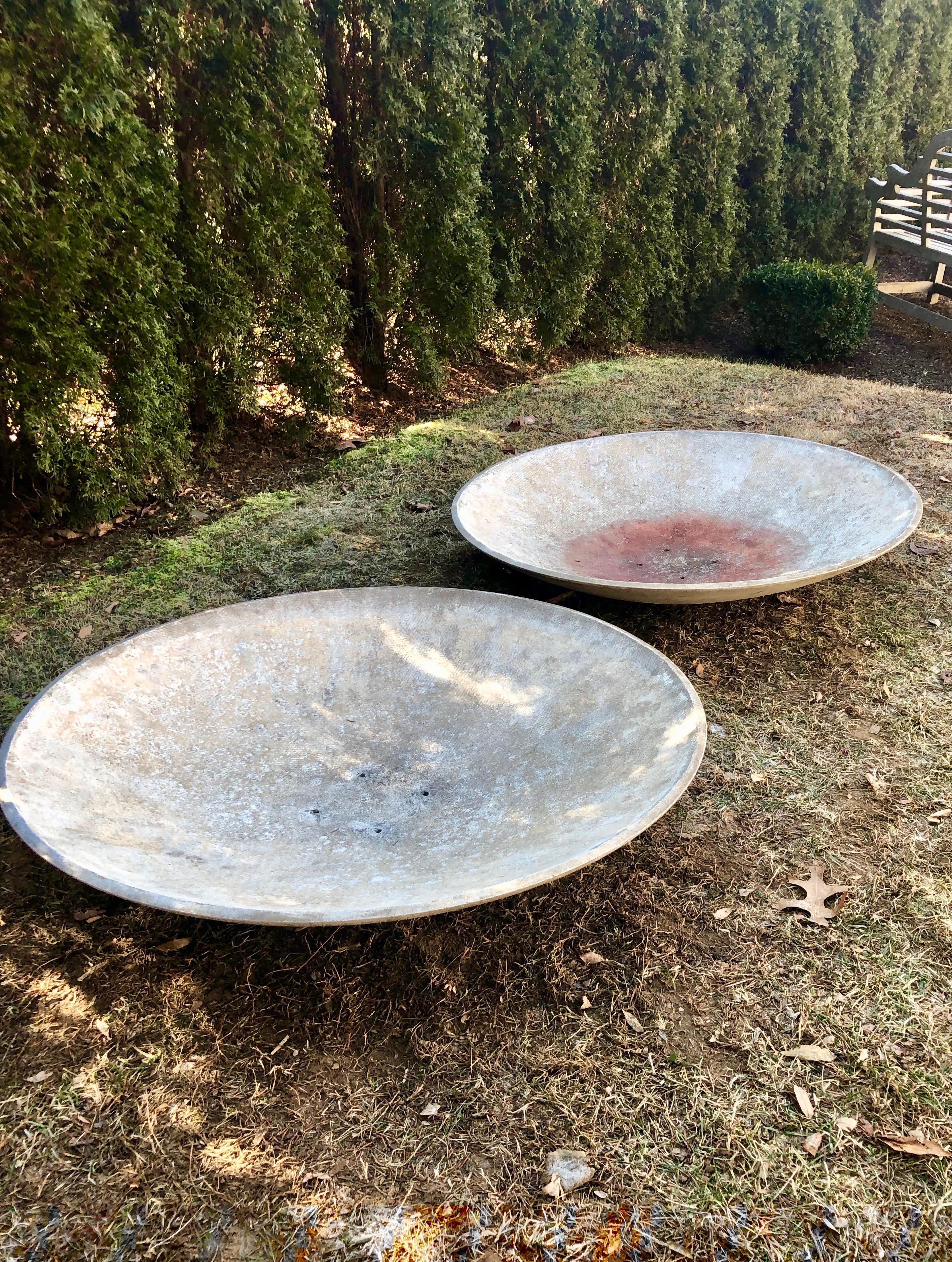 large saucer planters