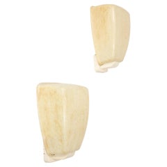 Pair of Large Fiberglass Wall Sconces, Europe 1970's