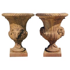 PAIR OF LARGE FLORENTINE RENAISSANCE VASE WITH RAM HEADS 21th Century