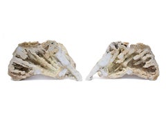 Pair of Large Fossil Agate Coral with Baroque Pearls