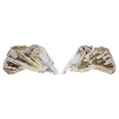 Pair of Large Fossil Agate Coral with Baroque Pearls