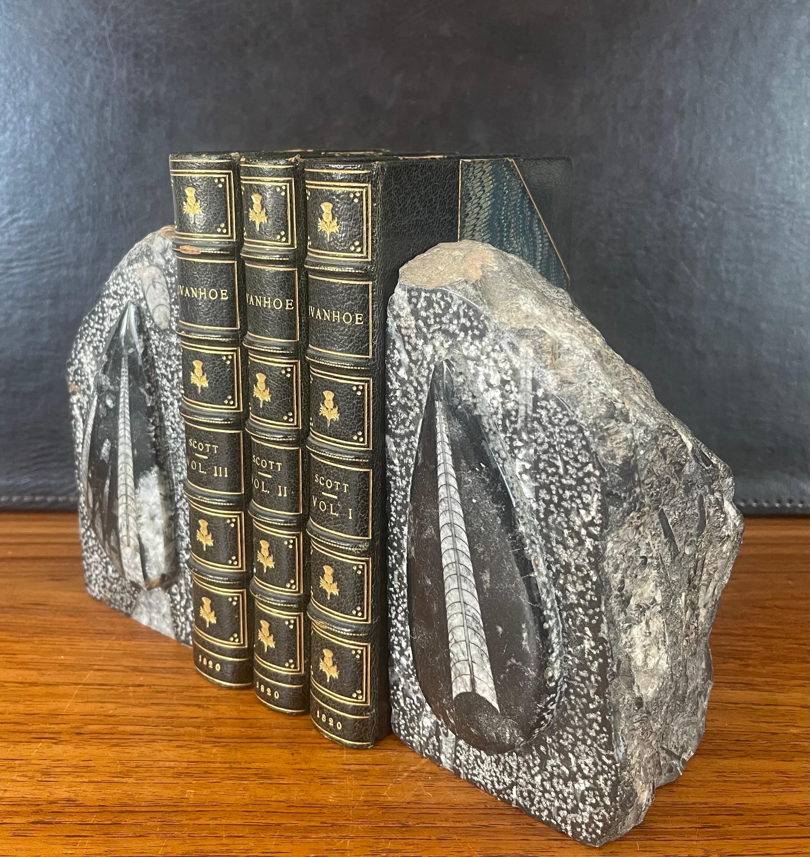 Pair of Large Fossil / Stone Bookends For Sale 4