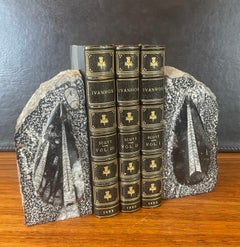 Pair of Large Fossil / Stone Bookends