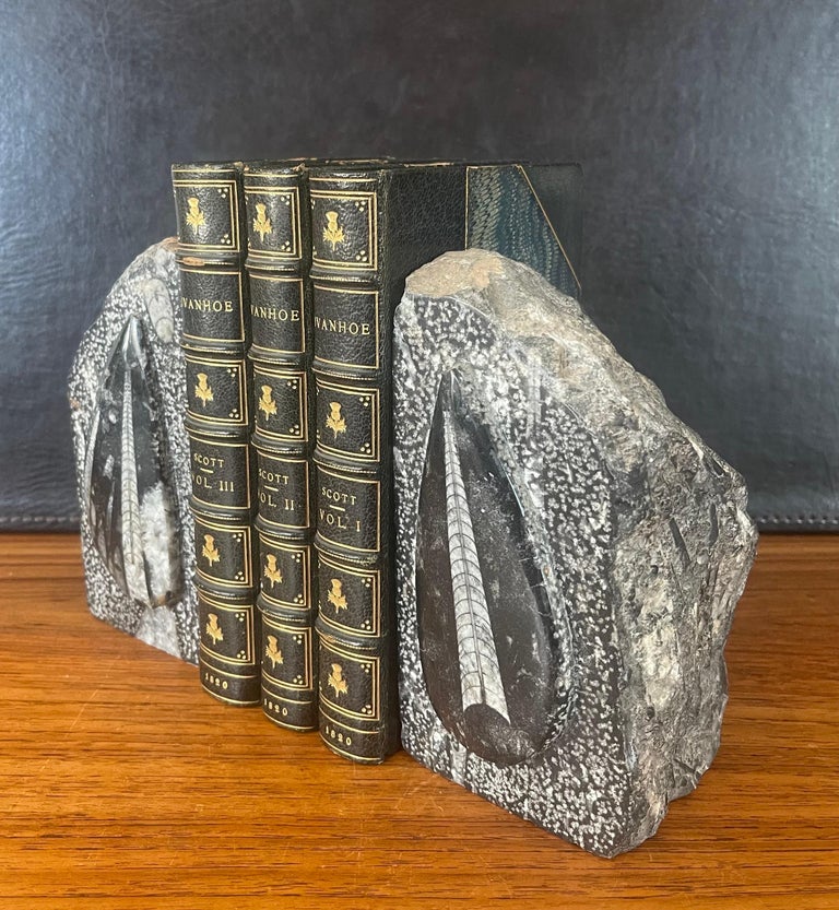 Pair of Large Fossil / Stone Bookends For Sale at 1stDibs