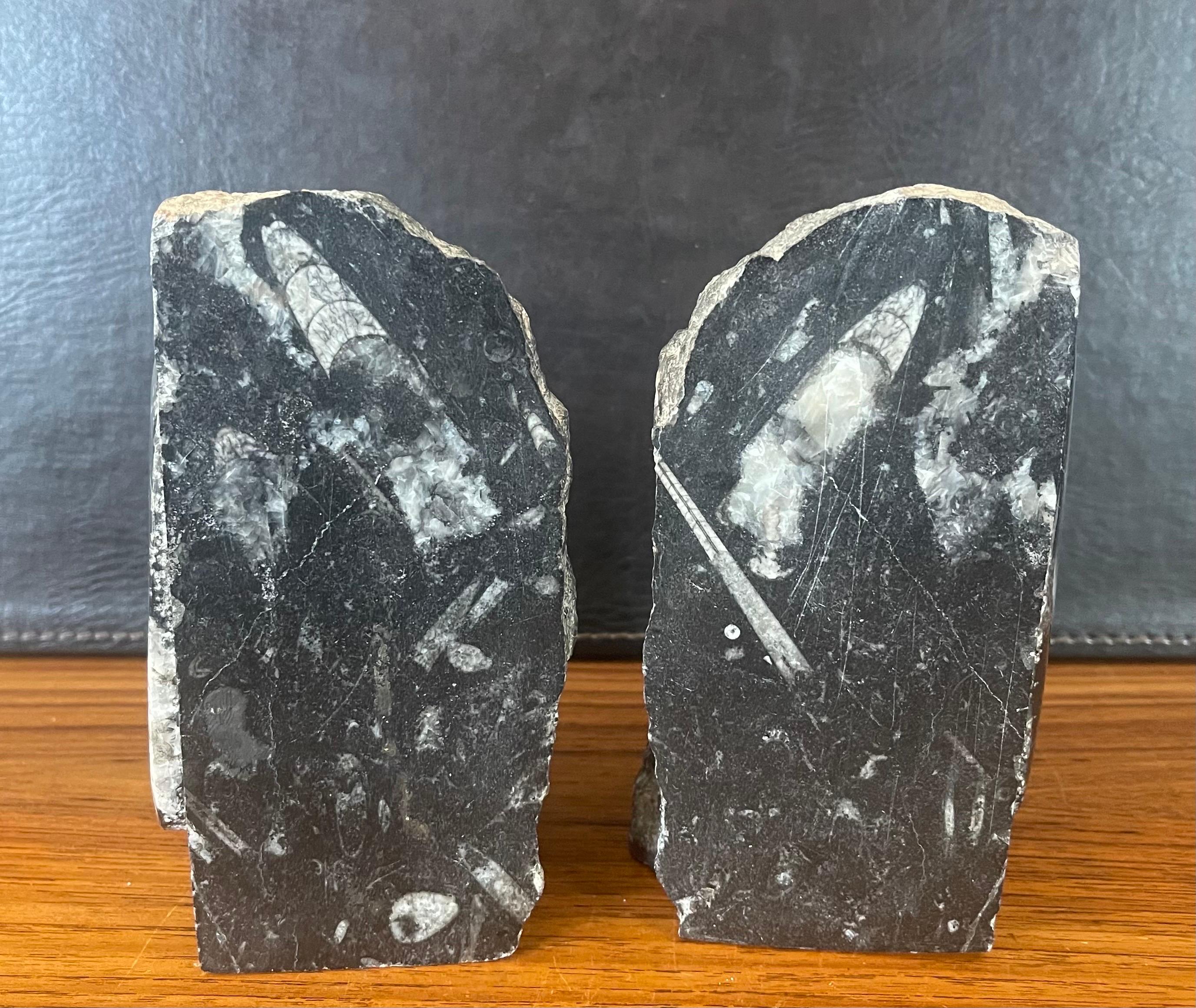 Pair of Large Fossil / Stone Bookends In Good Condition For Sale In San Diego, CA