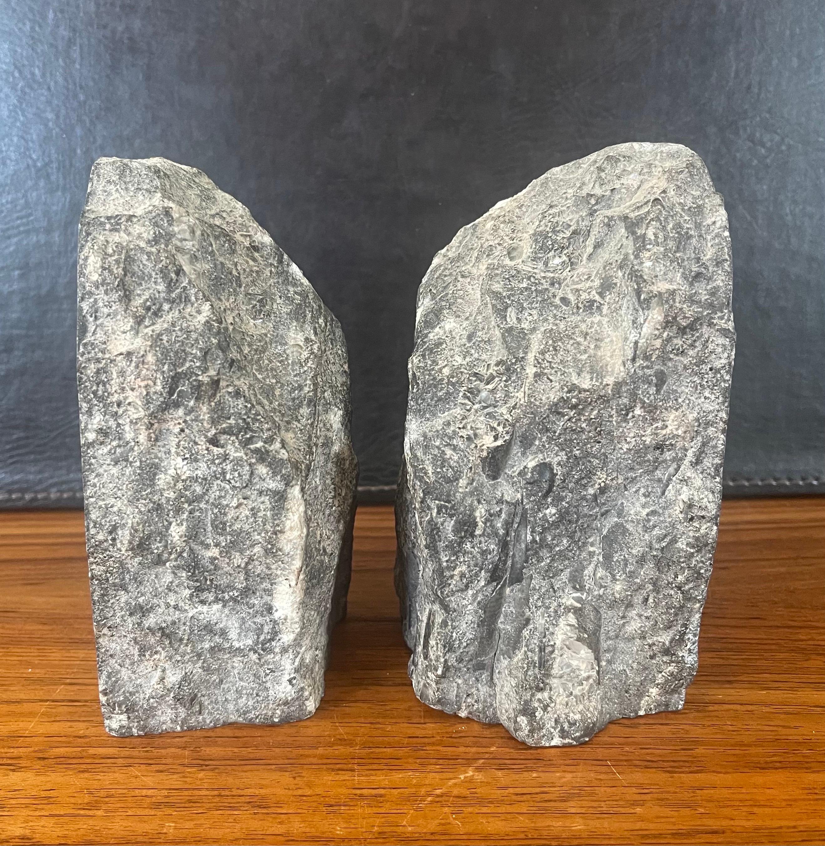 Paar große Fossil-/Stein-Buchstützen (Versteinertes Holz) im Angebot