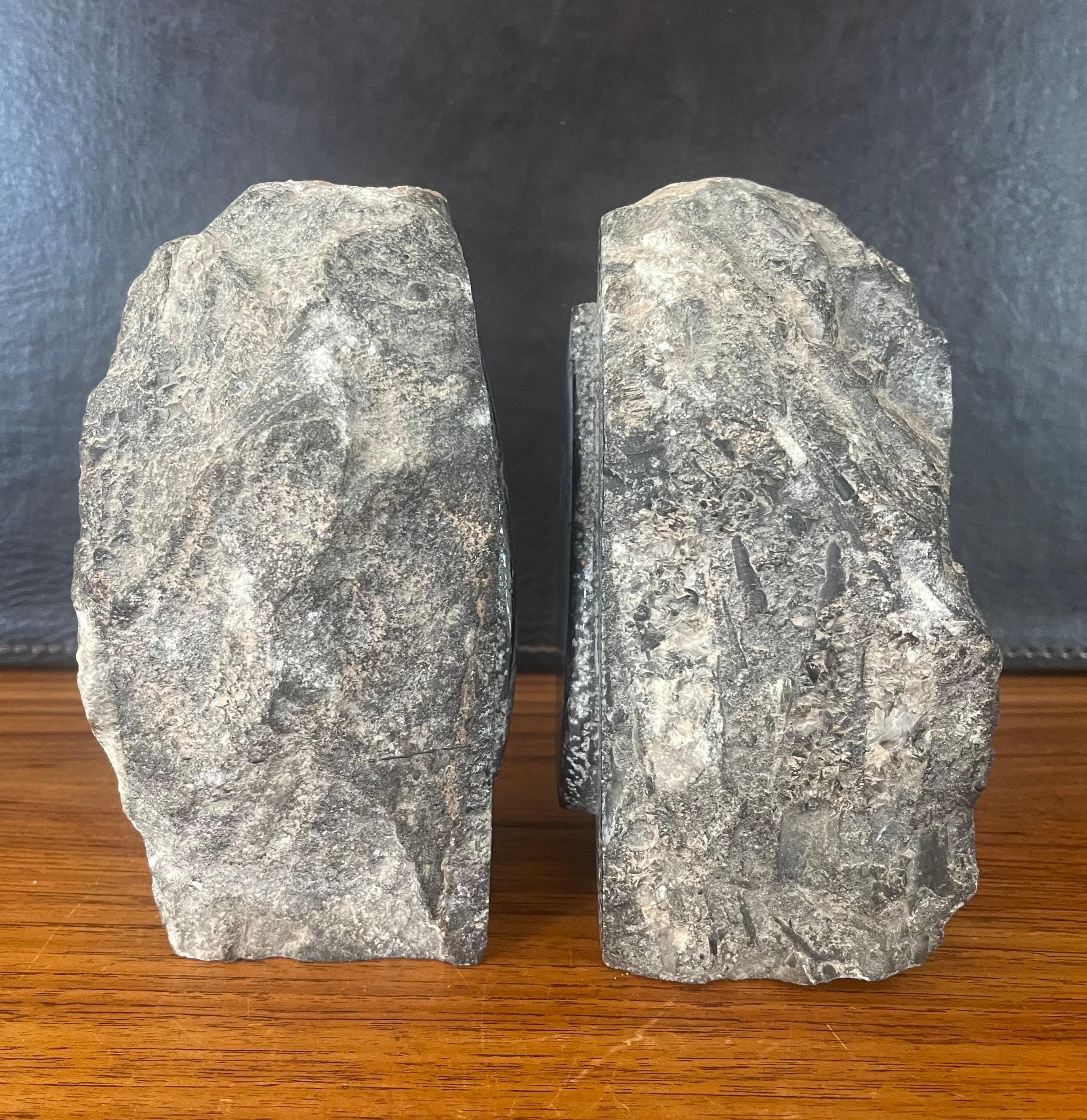 Paar große Fossil-/Stein-Buchstützen im Angebot 1