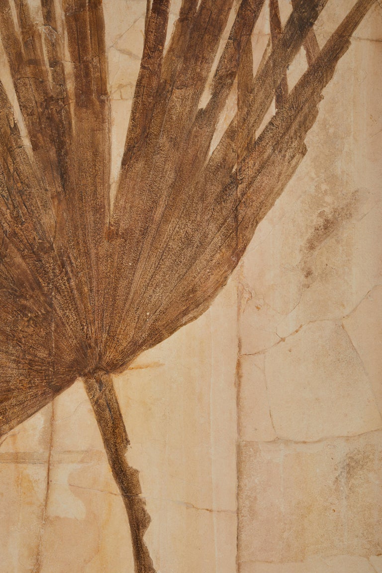 Pair of Large Fossilized Palm Fronds at 1stDibs