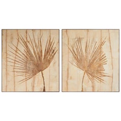 Pair of Large Fossilized Palm Fronds