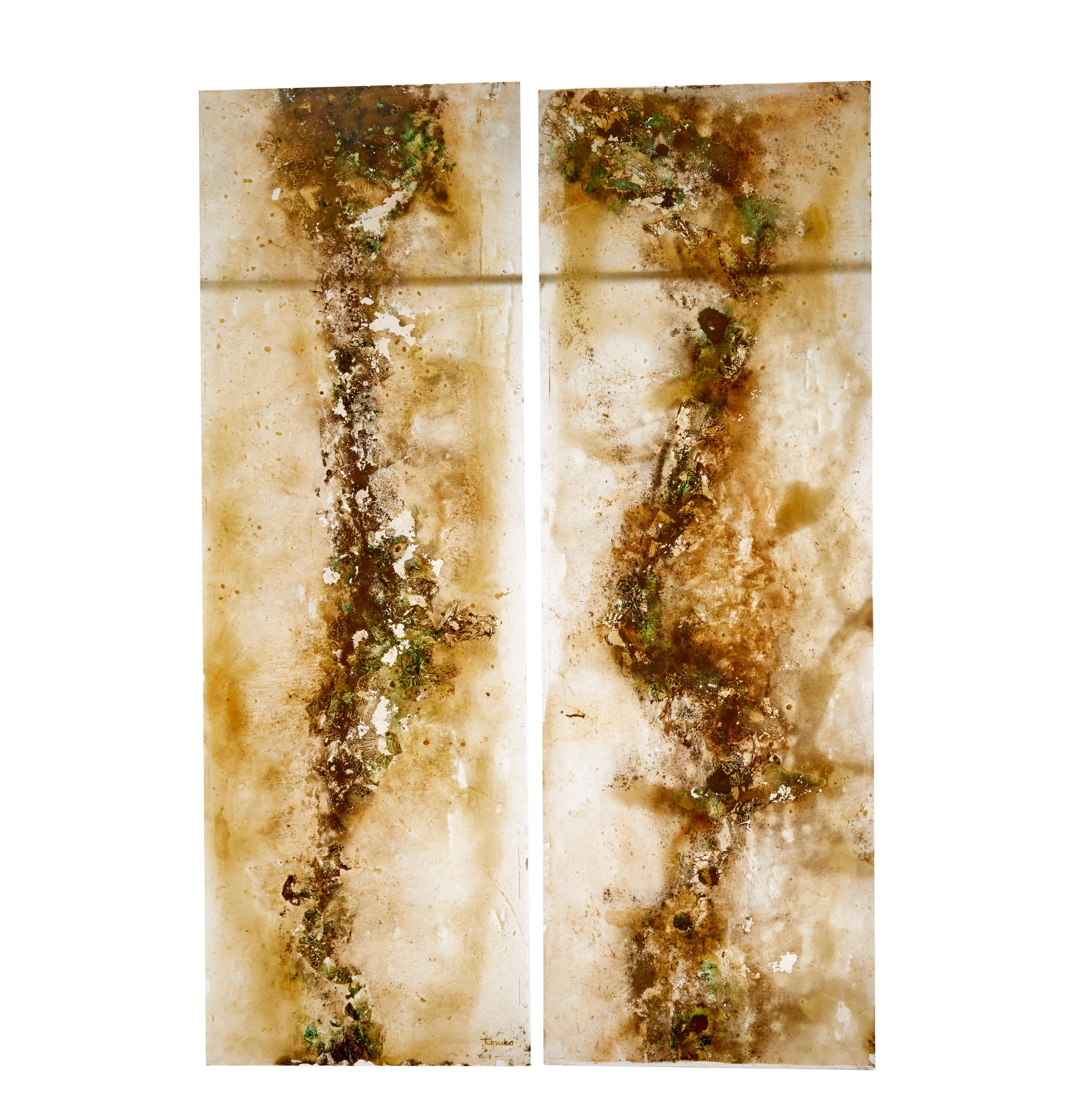 French Pair of large french 1950’s acrylic abstract panels For Sale
