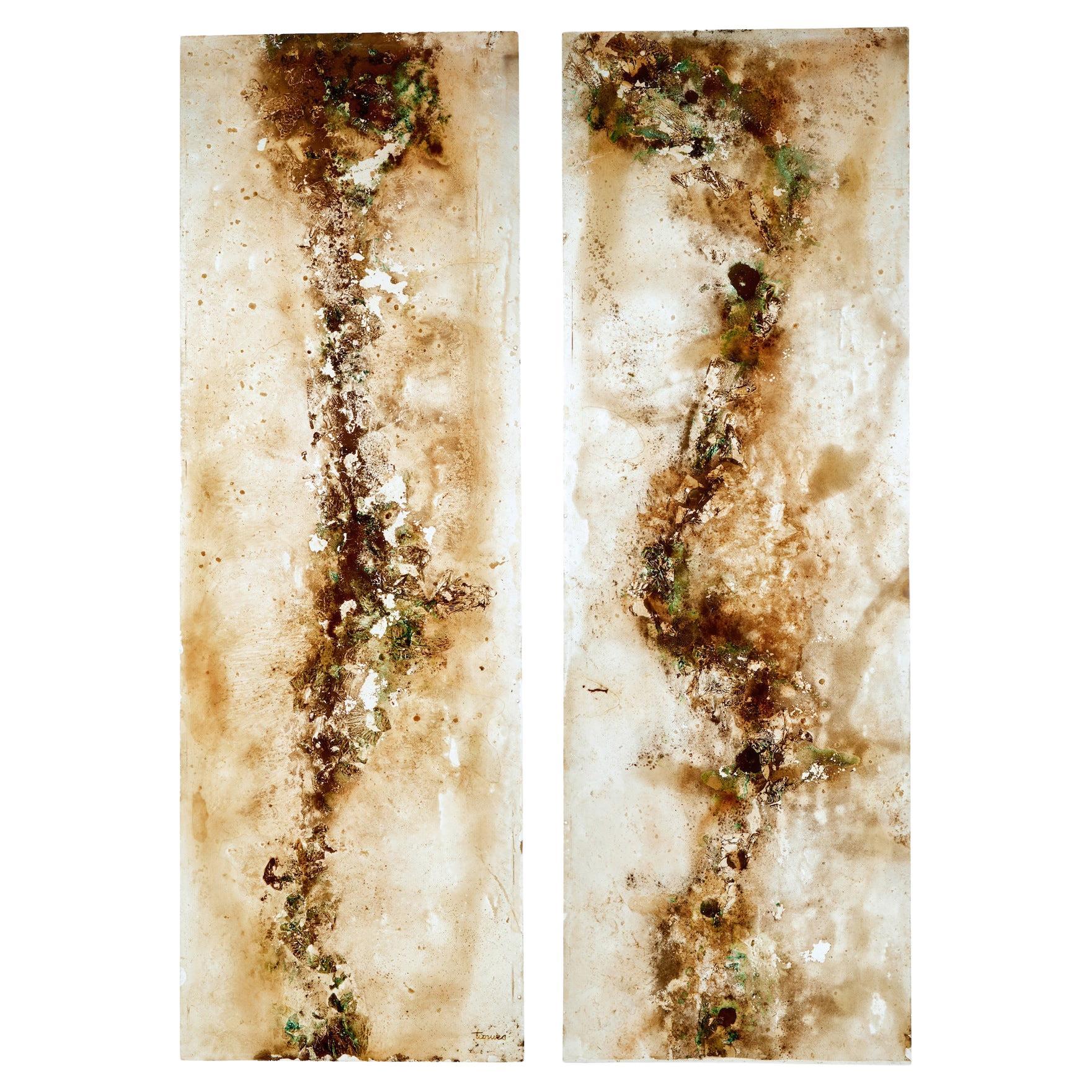 Pair of large French 1950’s acrylic abstract panels