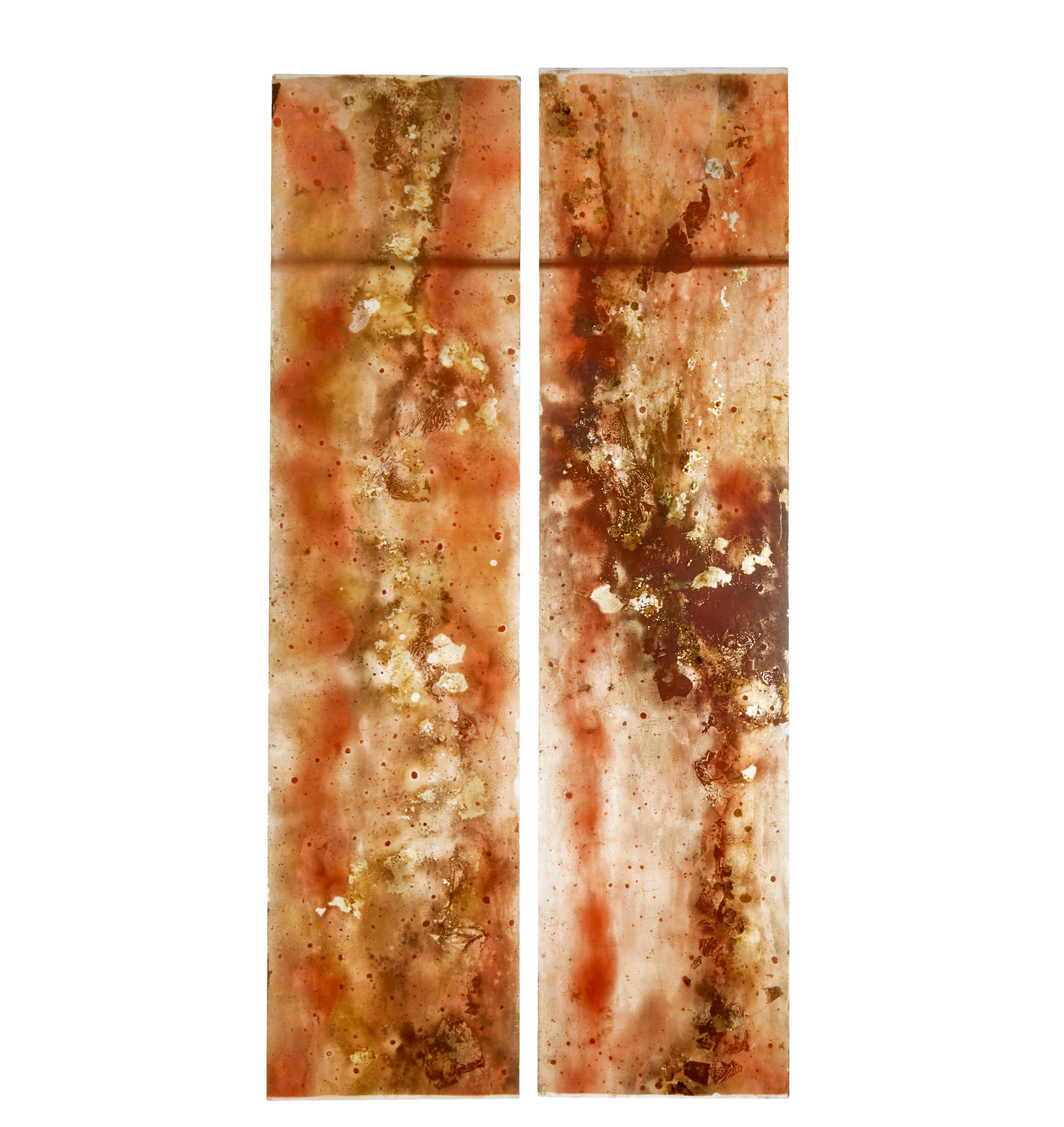 Pair of large french 1950’s acrylic and resin abstract panels gold leaf circa 1950.

Screens are made from browns, oranges, yellows and greens with gold leaf in places.

They have been photographed with front light, front light with a black back